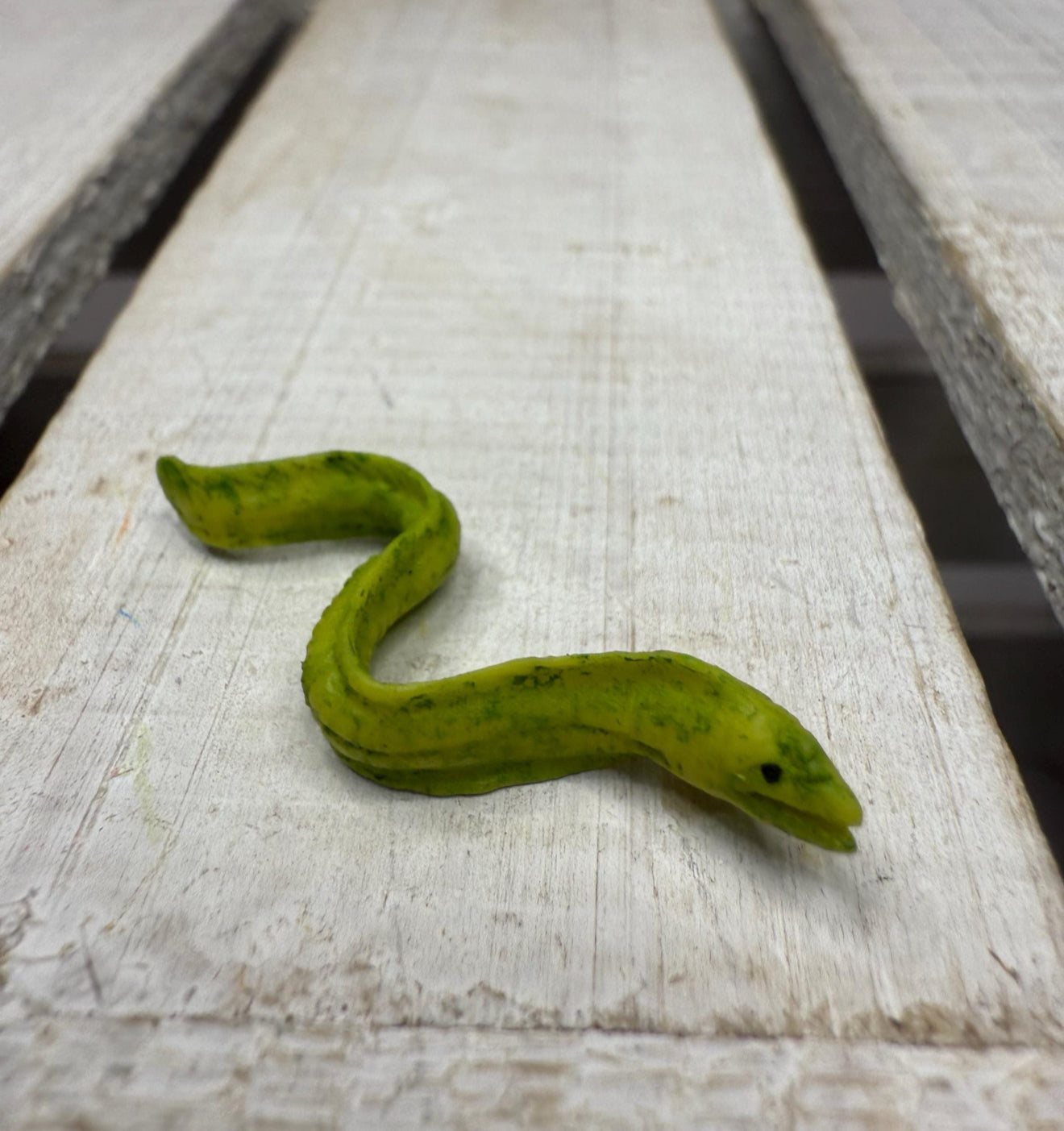 Miniature MORAY EEL Figurine Say and Play Mini Objects for Speech Therapy OCEAN Minis Tiny Animal for Dollhouse, Fairy Garden, Terrarium