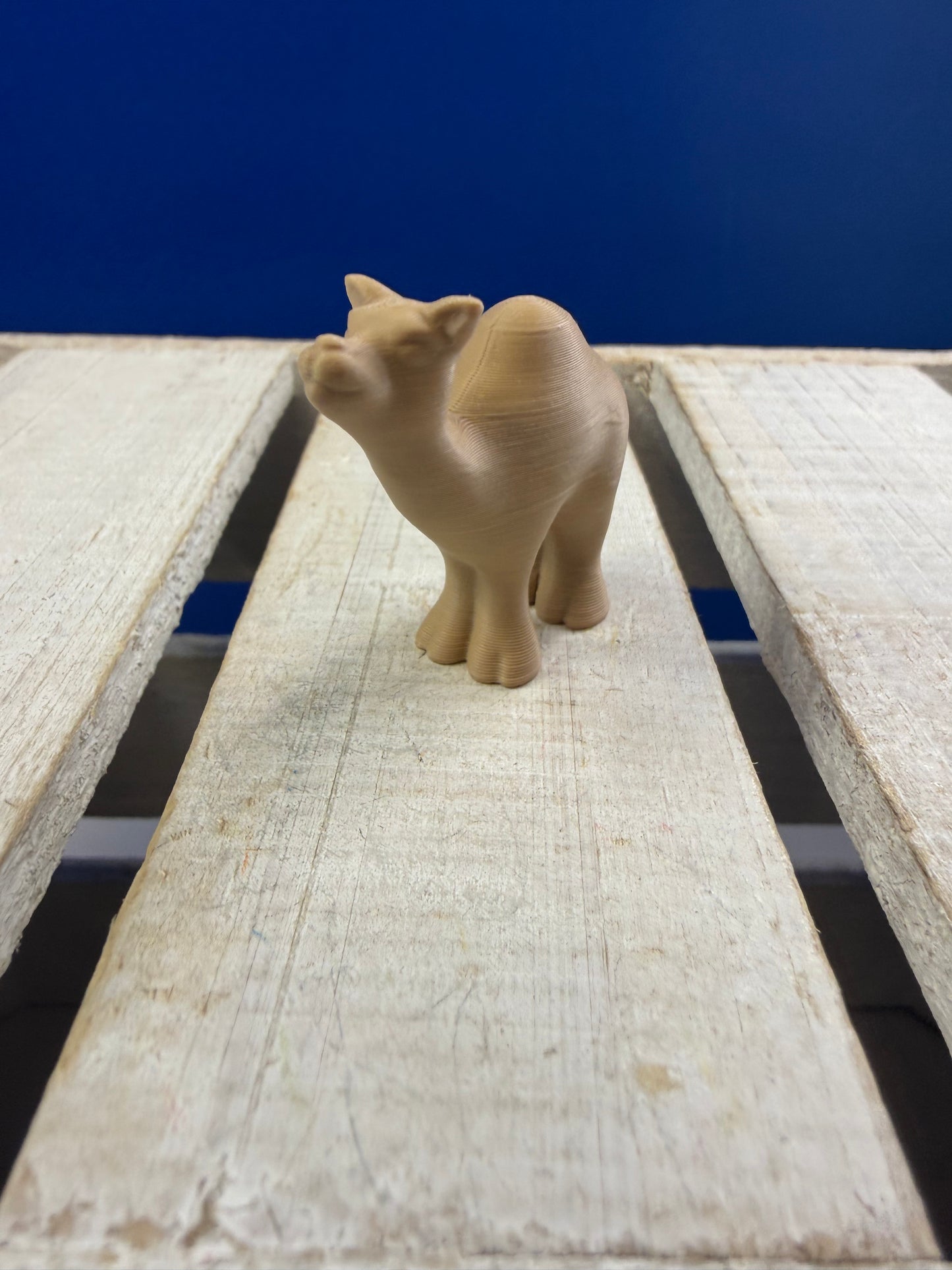 Mini Camel – Zoo Mini Objects for Speech Therapy & Language Activities | 3D Printed | Talkets™