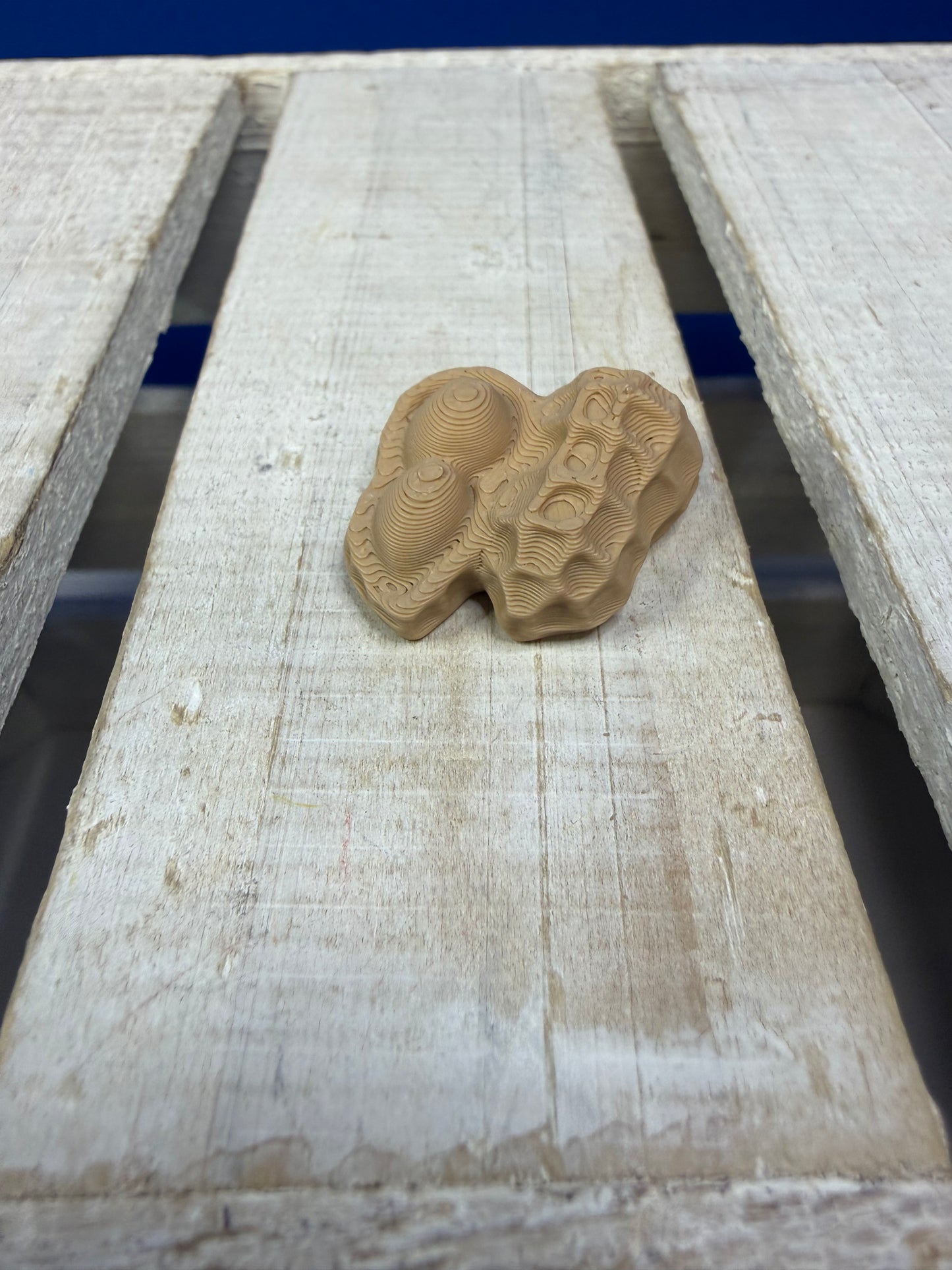Mini Peanut Object – Food Mini Objects for Speech Therapy & Language Activities | 3D Printed | Talkets™