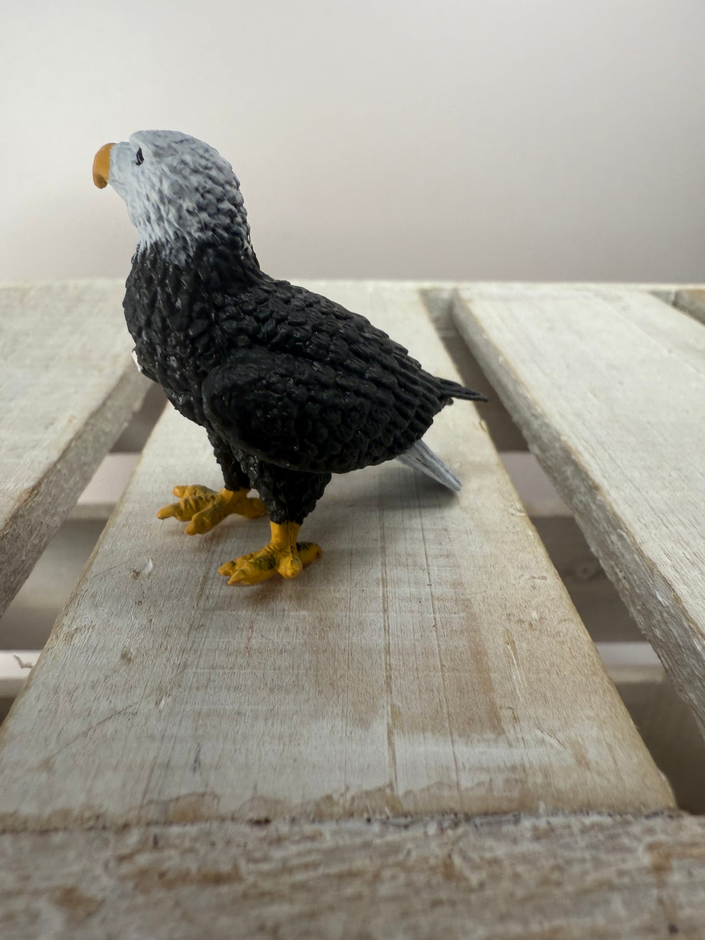 Pick a River Creature Figurines Mini Objects Realistic River Animal Figures Trinkets River Habitat Minis