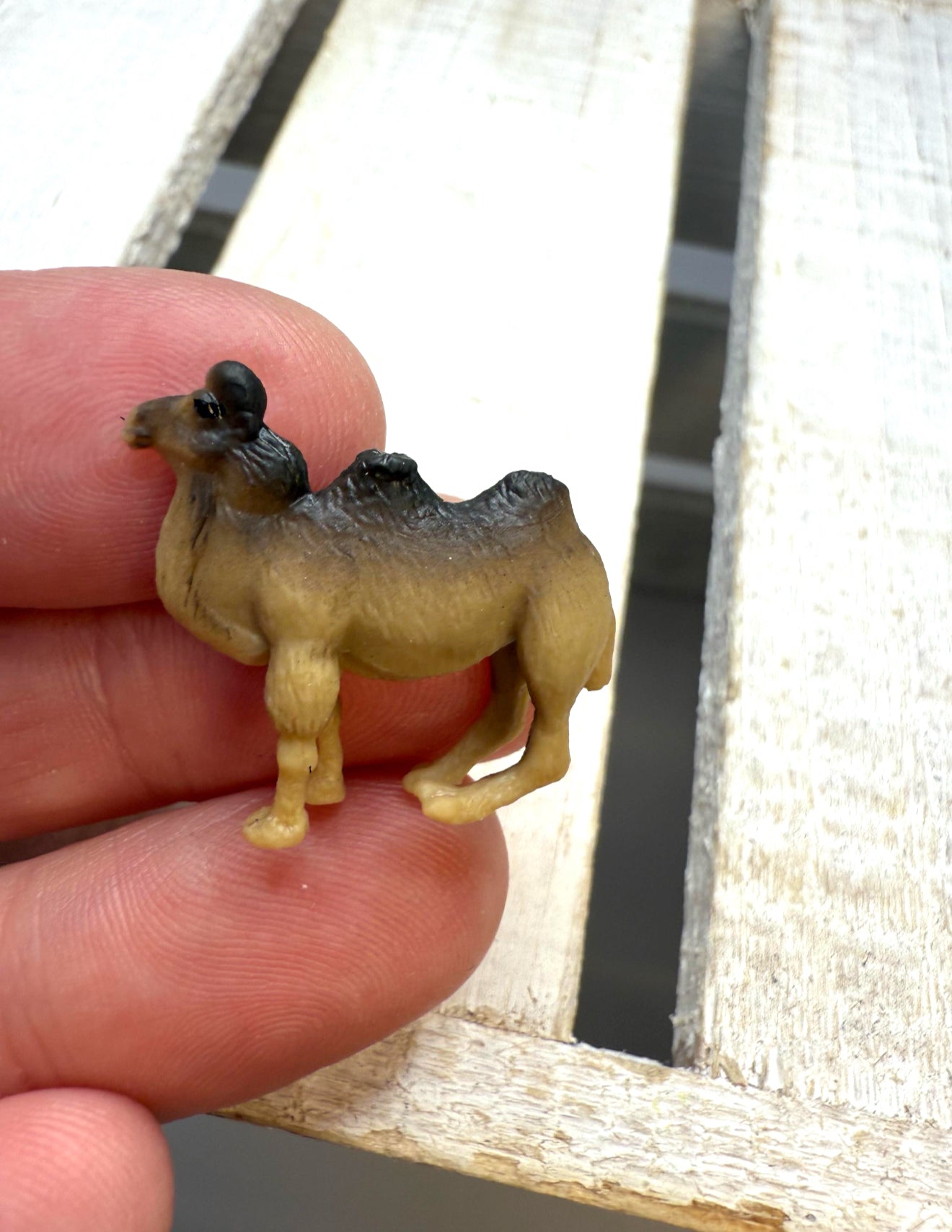 Miniature Camel Figurine – Tiny Animal for Dollhouse, Fairy Garden, Terrarium, Diorama, Safari Zoo Decor, Minis For Speech Therapy