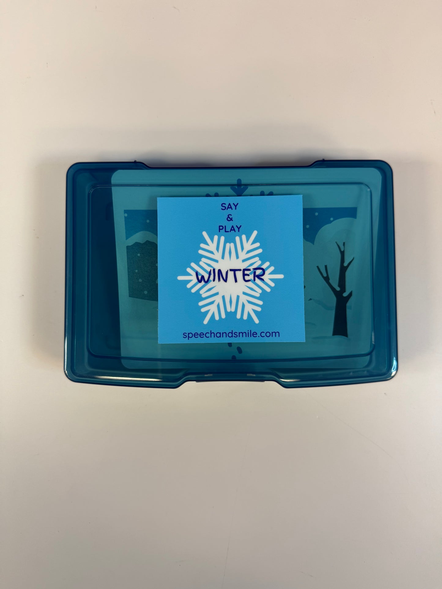 Seasons and Weather Language Task Box ALL SEASONS - Mini Objects Speech Therapy Theme Minis