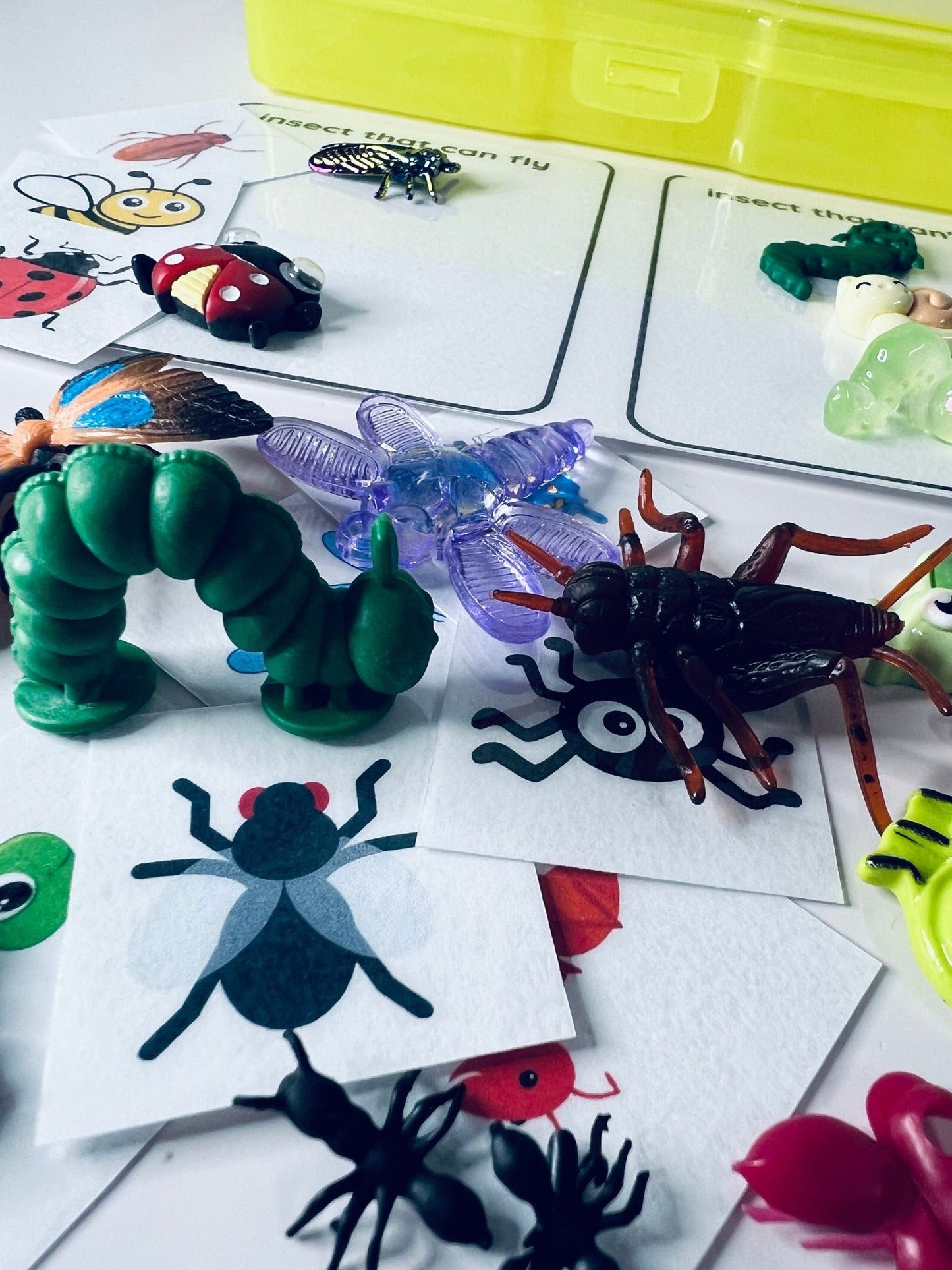 Miniature Bug Sorting Kit - Sorting Insect Objects - Preschool Sorting Task Box - Speech Therapy Mini Objects - Miniature Bug Trinkets - Speech and Smile