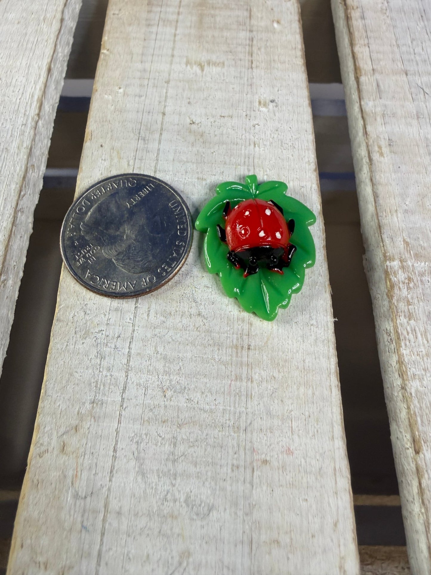 Miniature Ladybug on a Leaf - Bug Theme Minis Speech Therapy - Speech and Smile