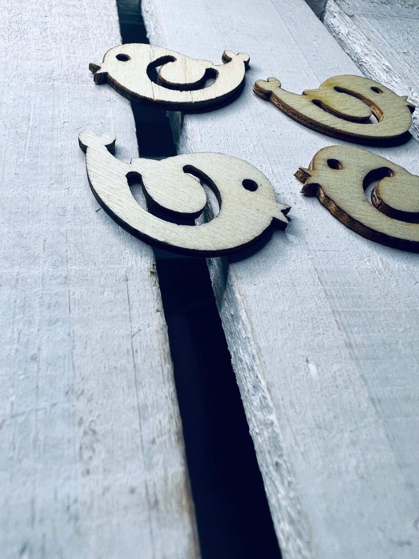 Wood Cut BIRD Object Nature Trinkets Speech Therapy Mini Objects Doodads Speech Sound Objects Woodland Cut Outs Wood Cut Shapes - Speech and Smile