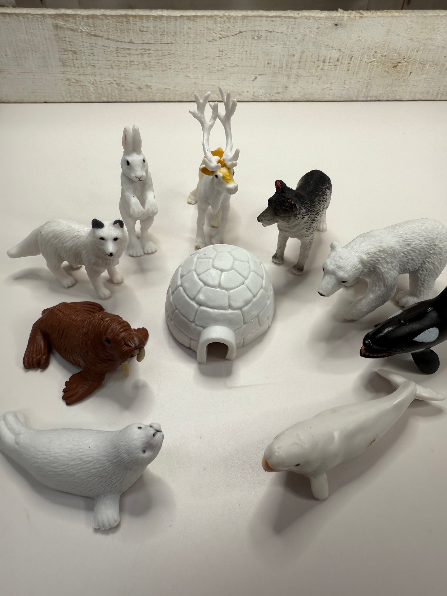 Pick an ARCTIC Animal Mini Objects Miniature Arctic Figurines Realistic Minis for Speech Therapy Alphabet Sound Box