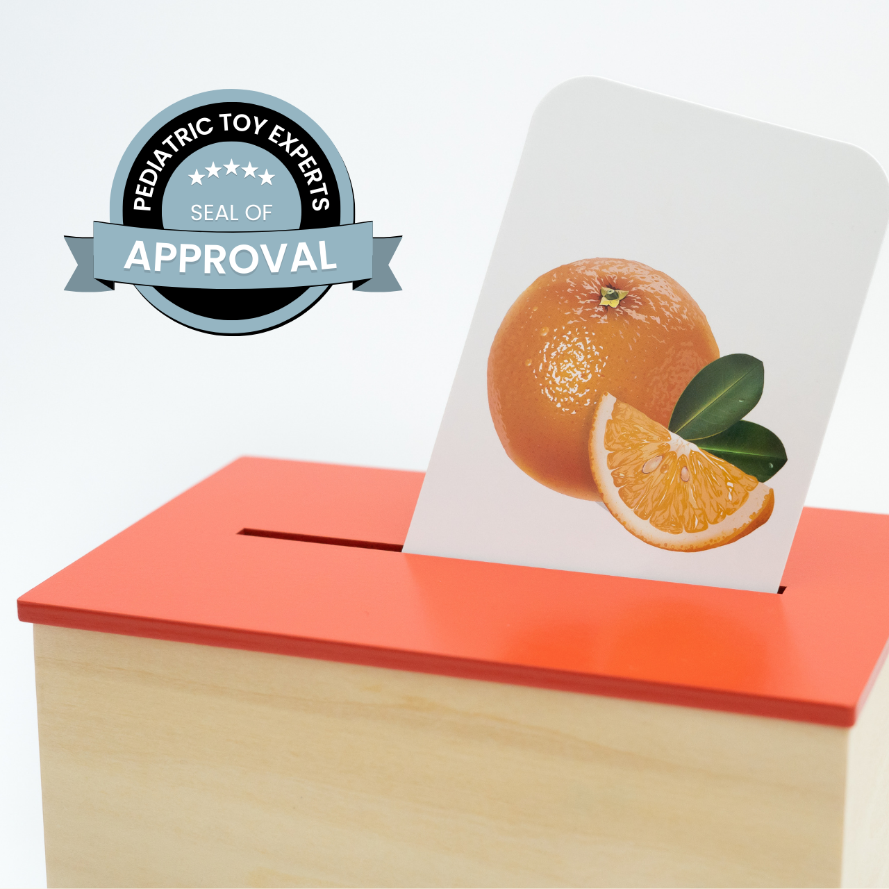 Preschool Concept Activity Learn & Drop Box with Cards