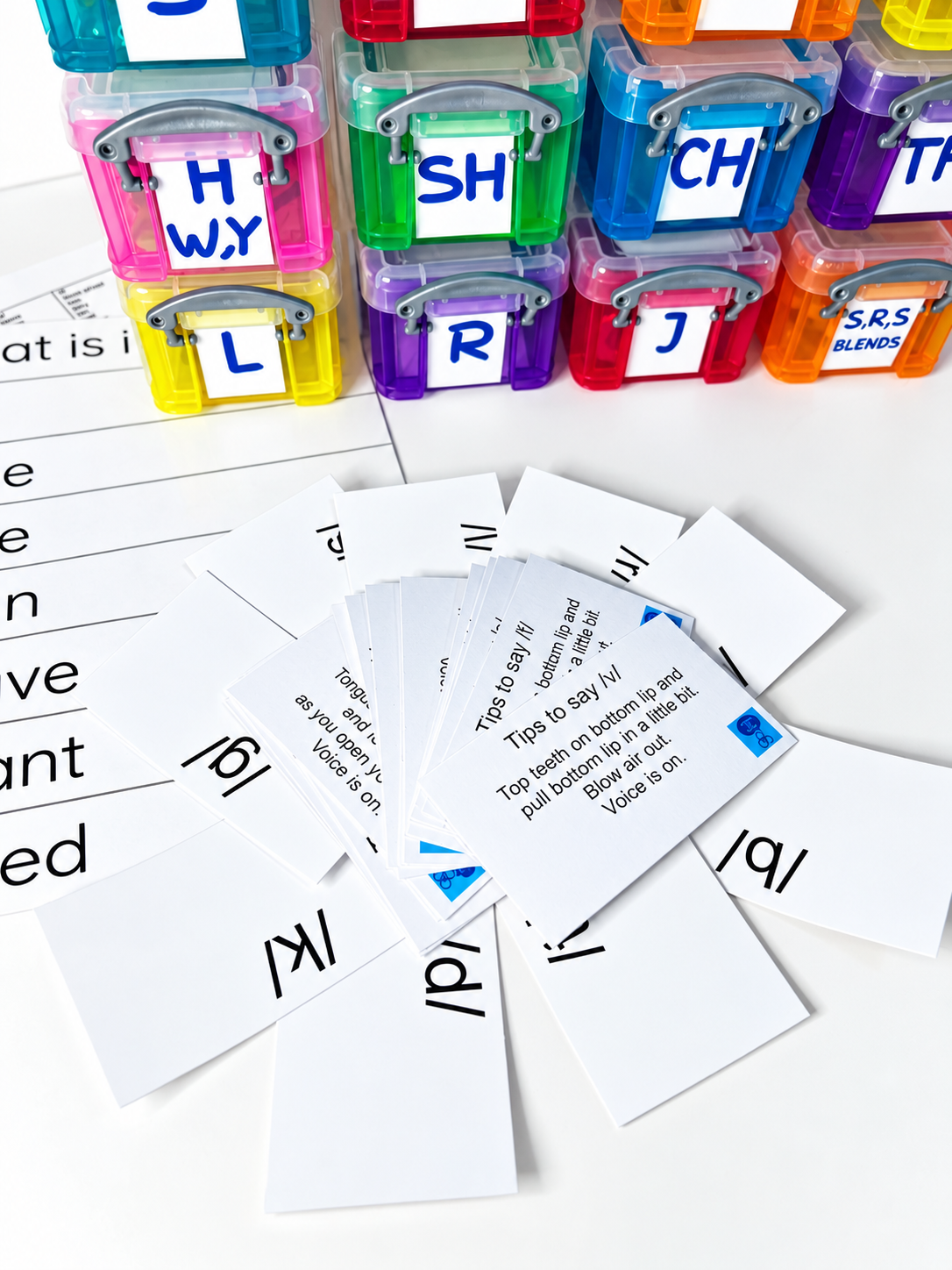 Speech Therapy Mini Objects Set Over 300 trinkets for ALL SOUNDS Articulation Say & Play Mini Objects™ Speech Kit