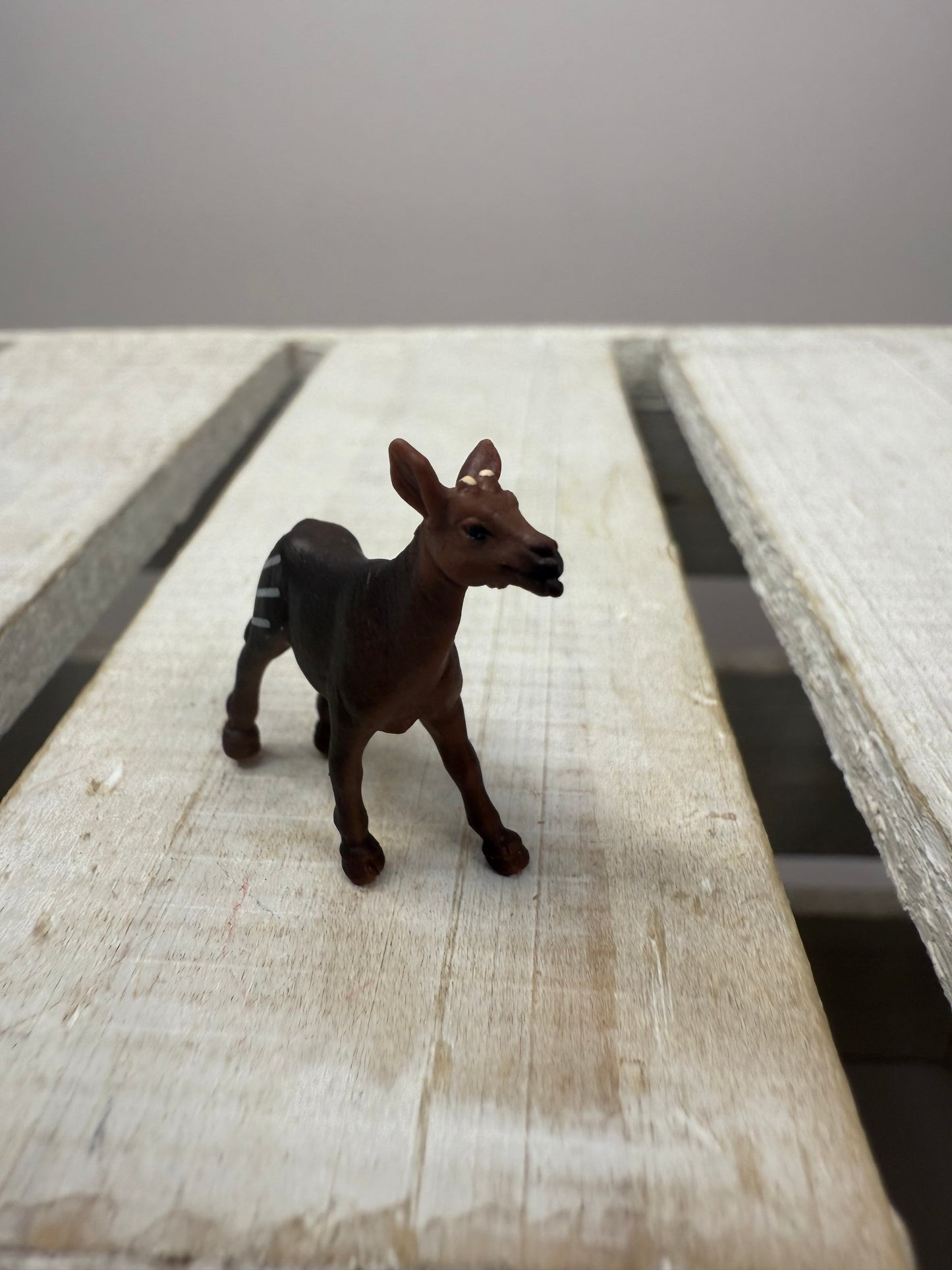 Miniature OKAPI Figurine – Animal Minis for Speech Therapy, Montessori, and Alphabet Sound Sets Safari Minis