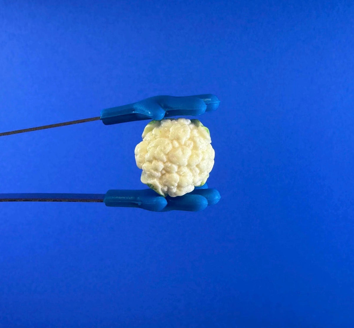 Miniature Cauliflower Trinket – Food Minis - Vegetable Miniatures