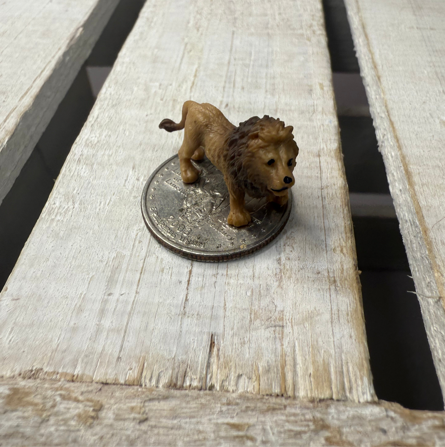 Miniature LION Figurine Zoo Minis Speech Therapy, Montessori, and Alphabet Sound Sets Safari Minis