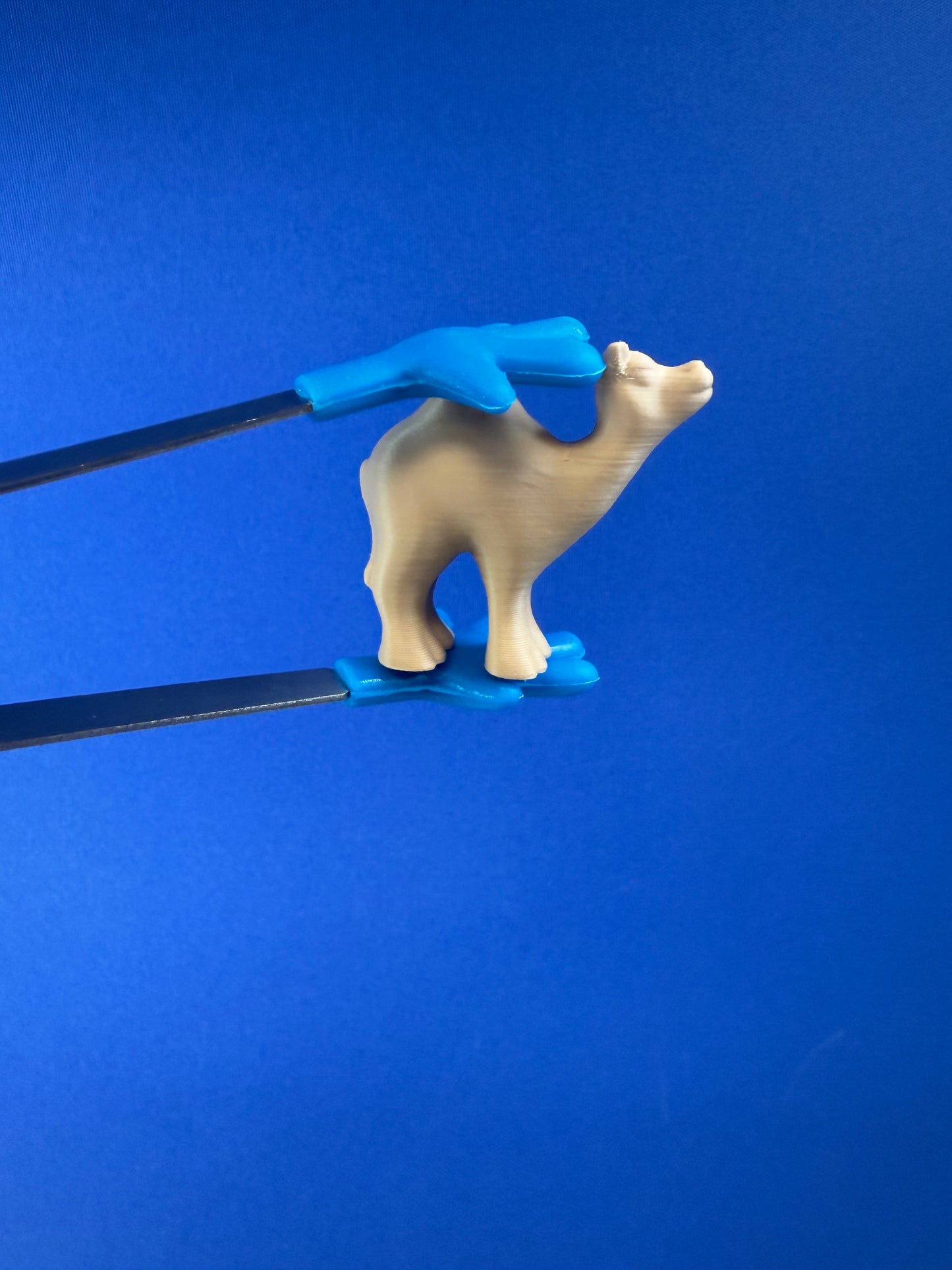 Mini Camel – Zoo Mini Objects for Speech Therapy & Language Activities | 3D Printed | Talkets™