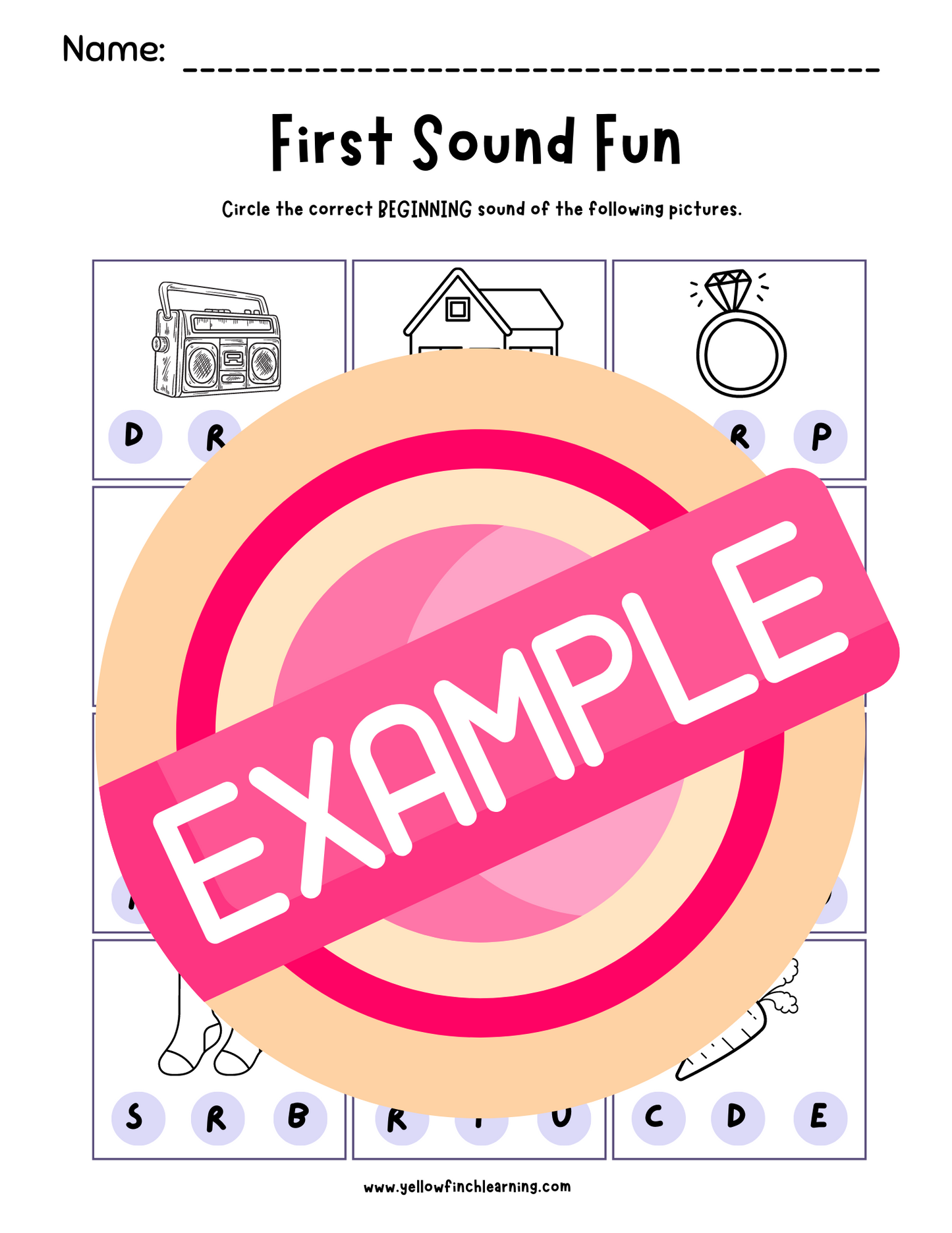 Ruby Says R Companion Packet