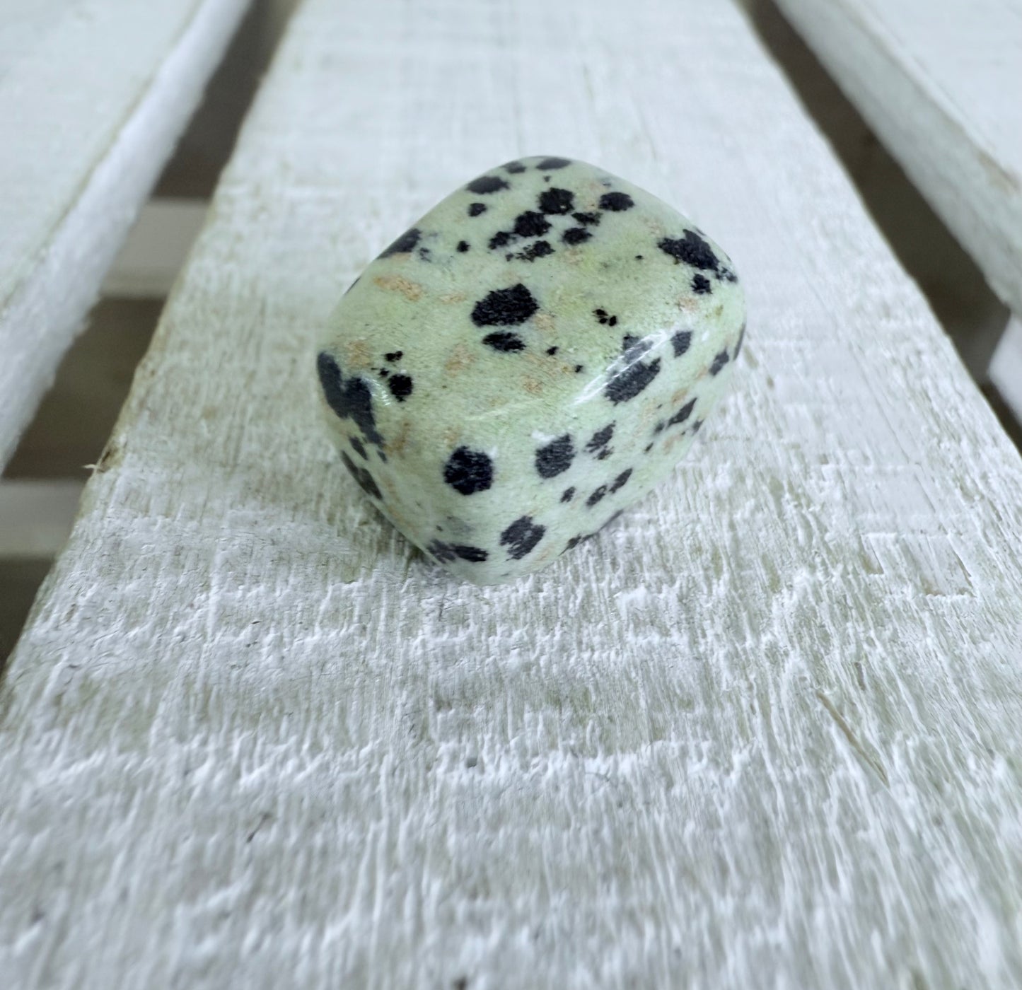 Dalmatian Jasper Stone – Letter J Alphabet Object – Mini Jasper Gemstone – Polished Tumbled Jasper – Speech Therapy Mini Object