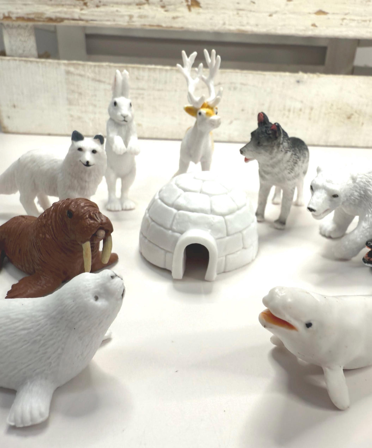 Pick an ARCTIC Animal Mini Objects Miniature Arctic Figurines Realistic Minis for Speech Therapy Alphabet Sound Box