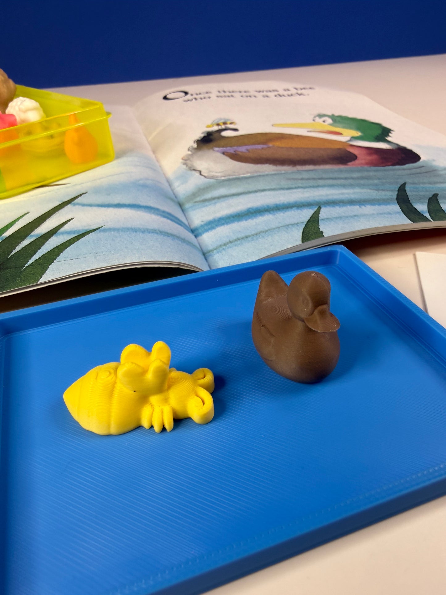Buzz Said the Bee Book with Story Objects  – level one reader story retail with visuals- BOOK INCLUDED