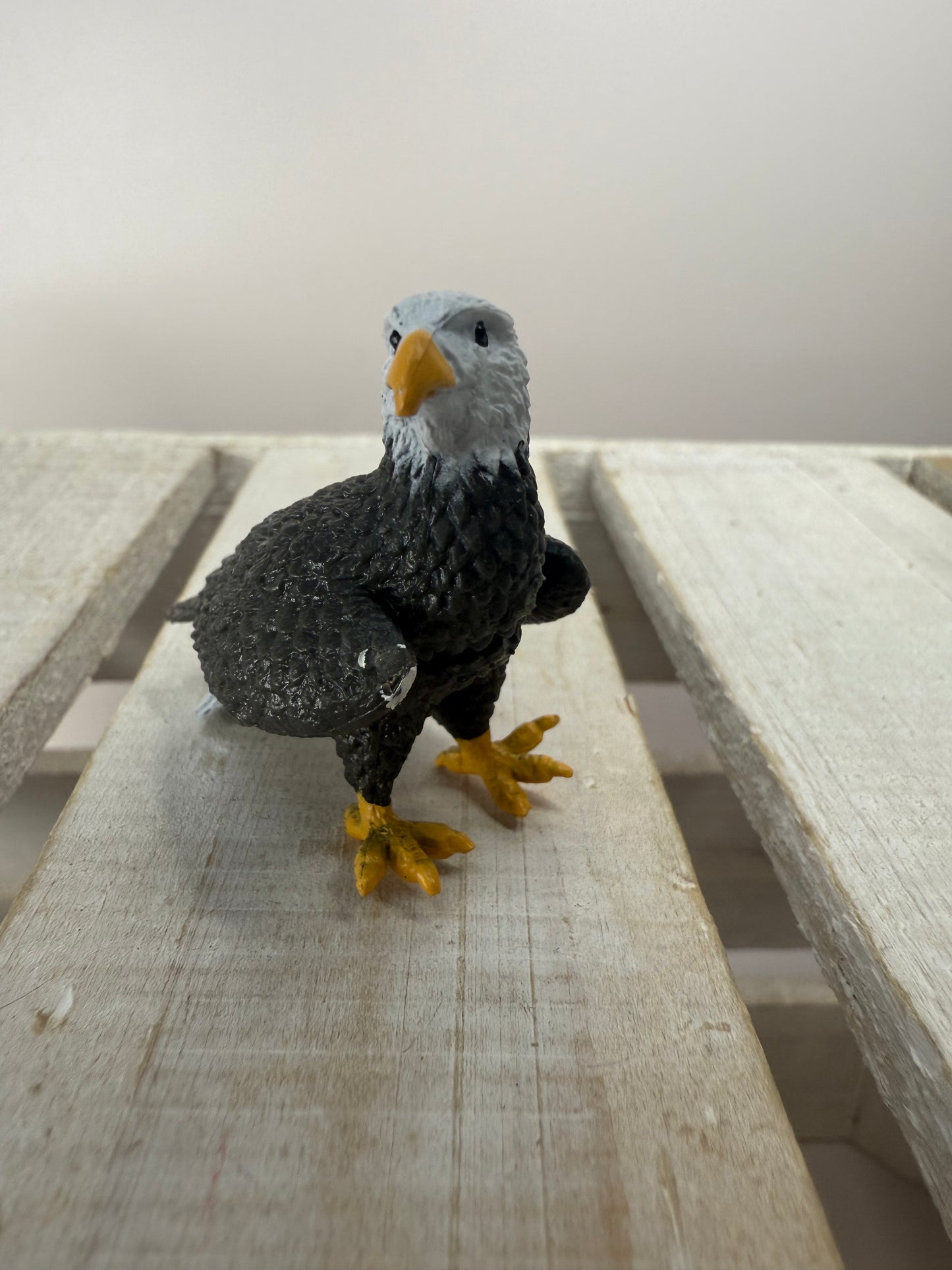 Pick a River Creature Figurines Mini Objects Realistic River Animal Figures Trinkets River Habitat Minis