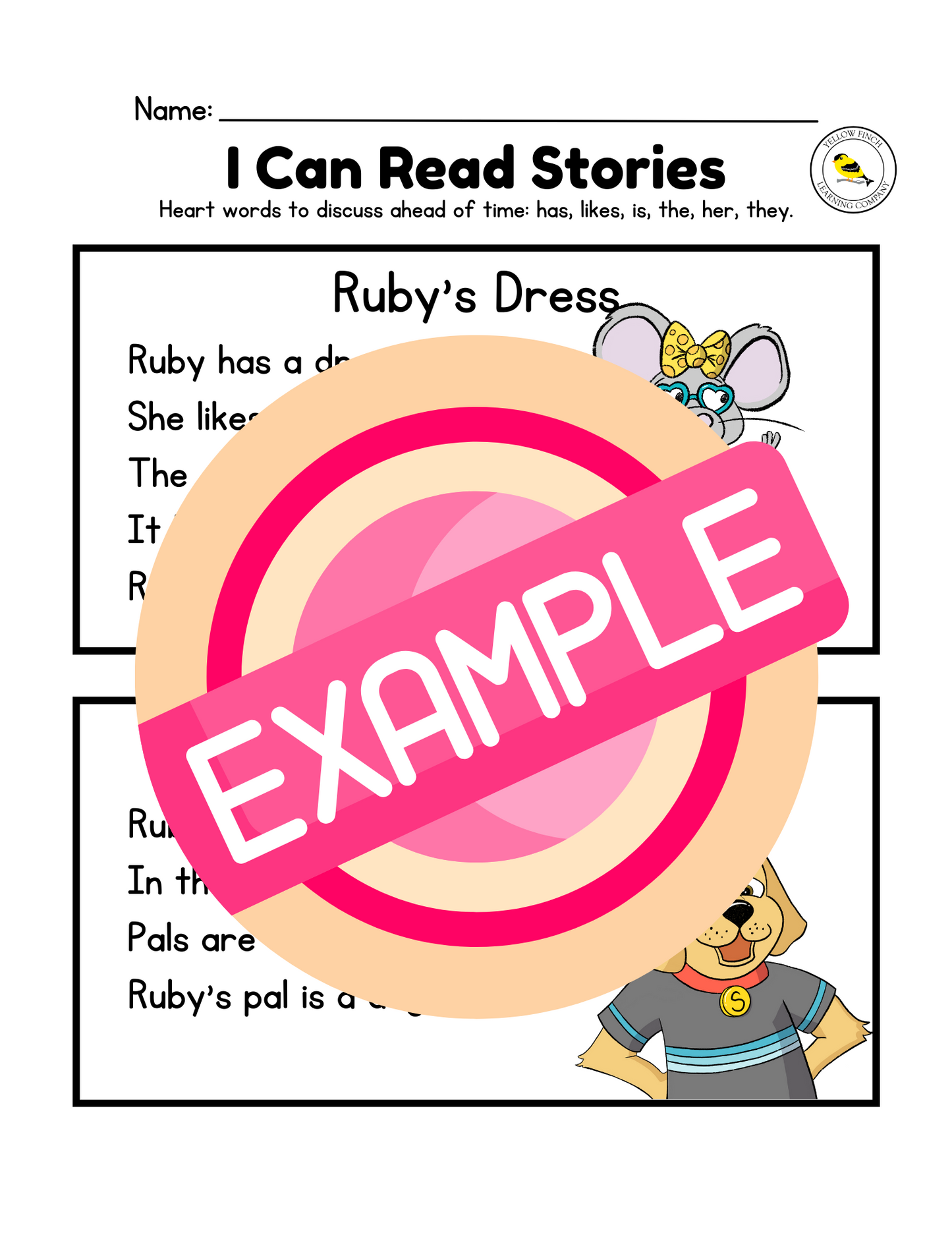 Ruby Says R Companion Packet