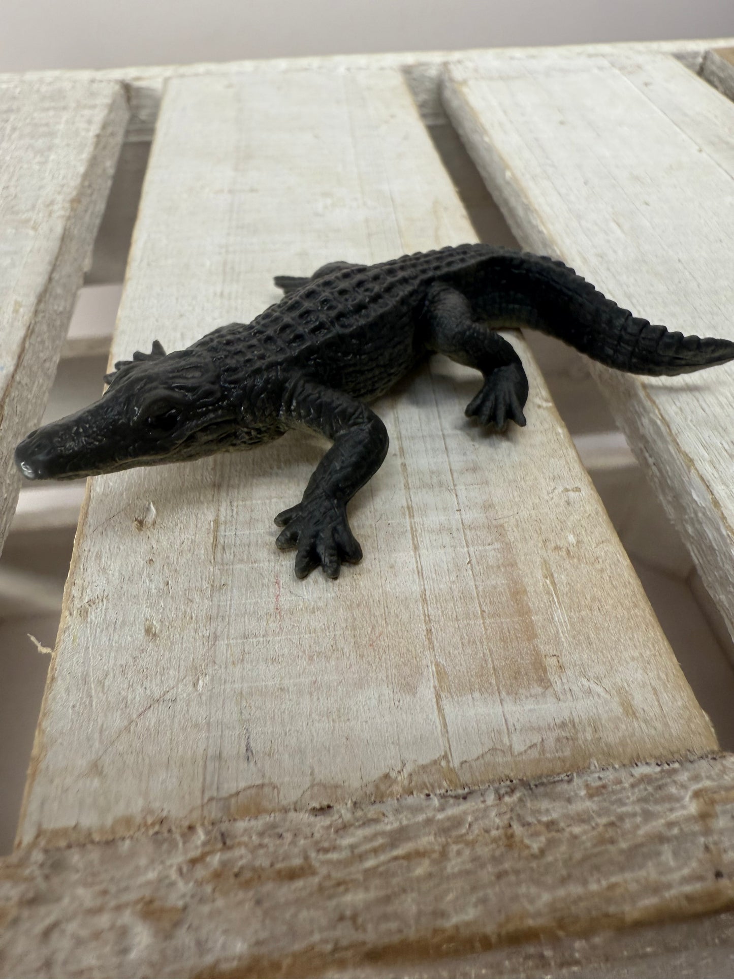 Pick a River Creature Figurines Mini Objects Realistic River Animal Figures Trinkets River Habitat Minis