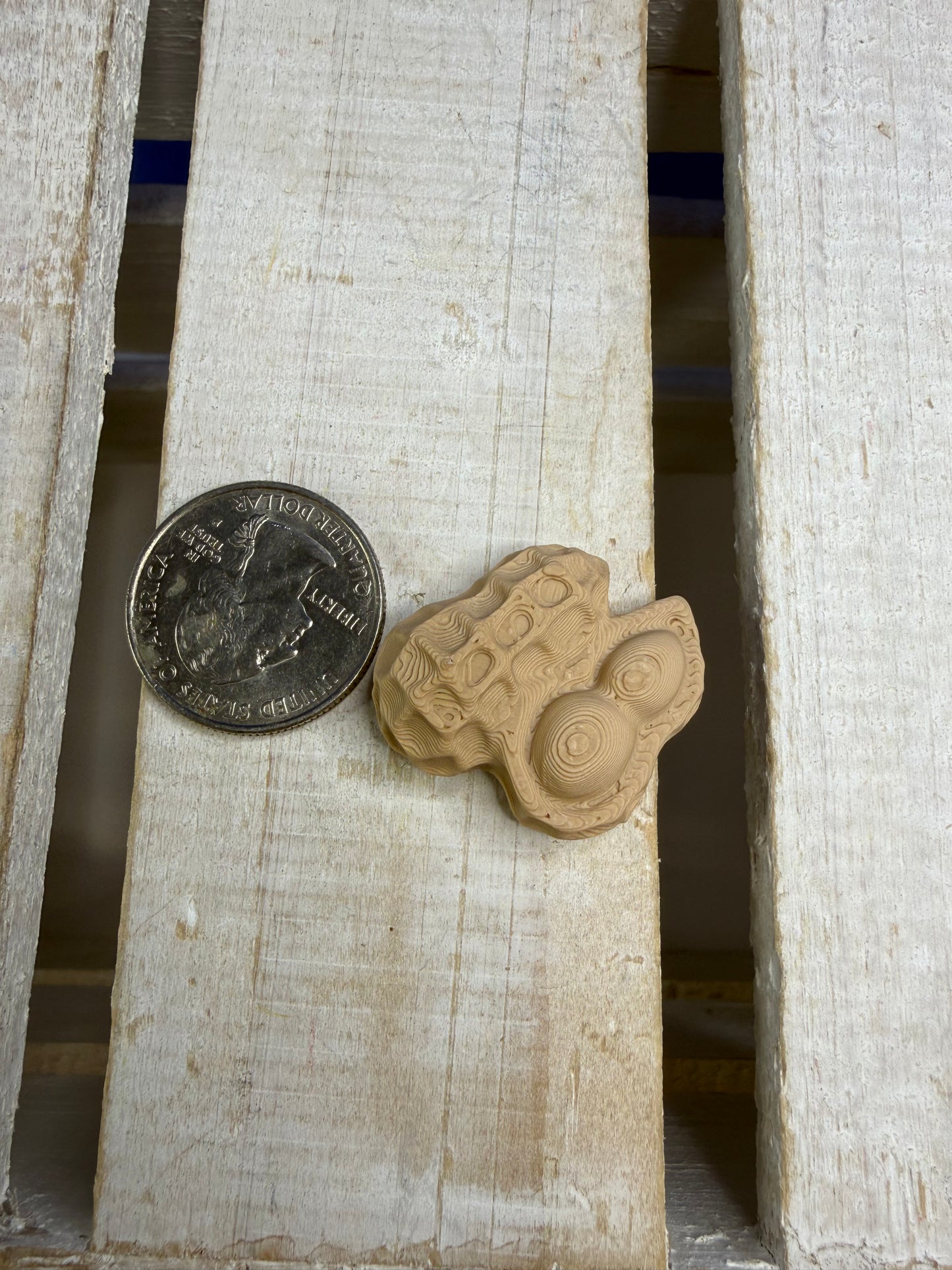 Mini Peanut Object – Food Mini Objects for Speech Therapy & Language Activities | 3D Printed | Talkets™