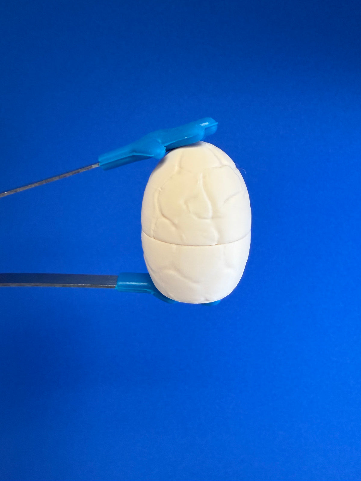 Mini Dinosaur Egg with Baby Dino - Dino Theme Activities - TALKETS® Mini objects for Speech therapy