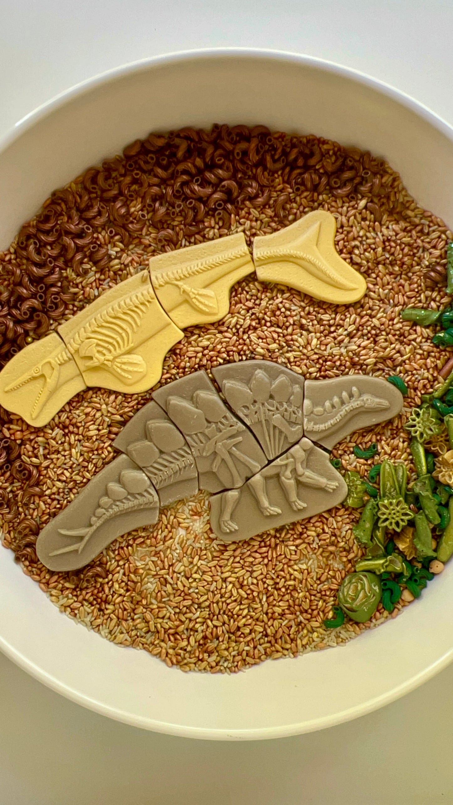 T-Rex Terrain Sensory Bin Filler