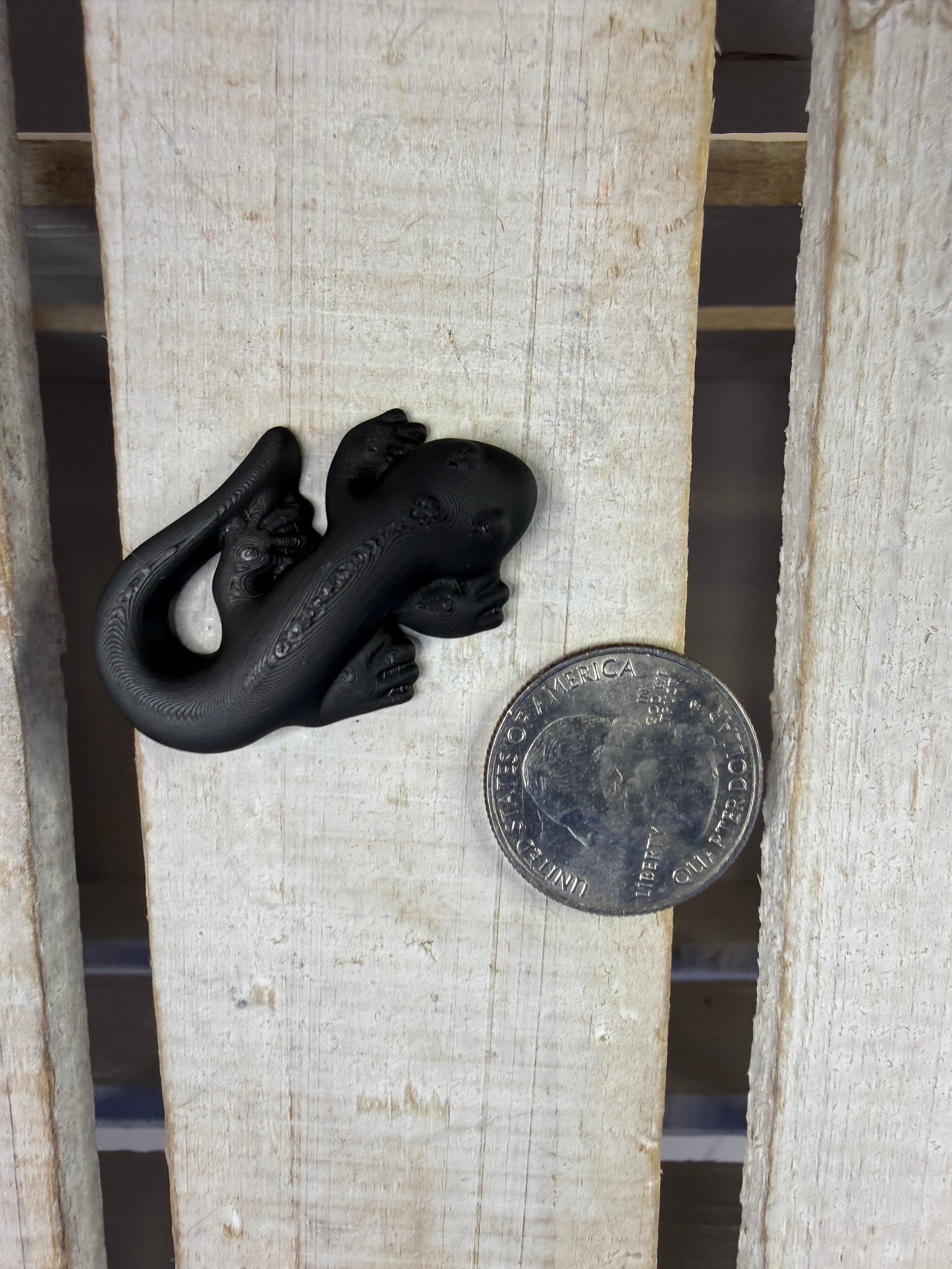 Mini Black Salamander  Trinket - Bug Minis - 3D Printed Fidget Toy for Speech Therapy Activities