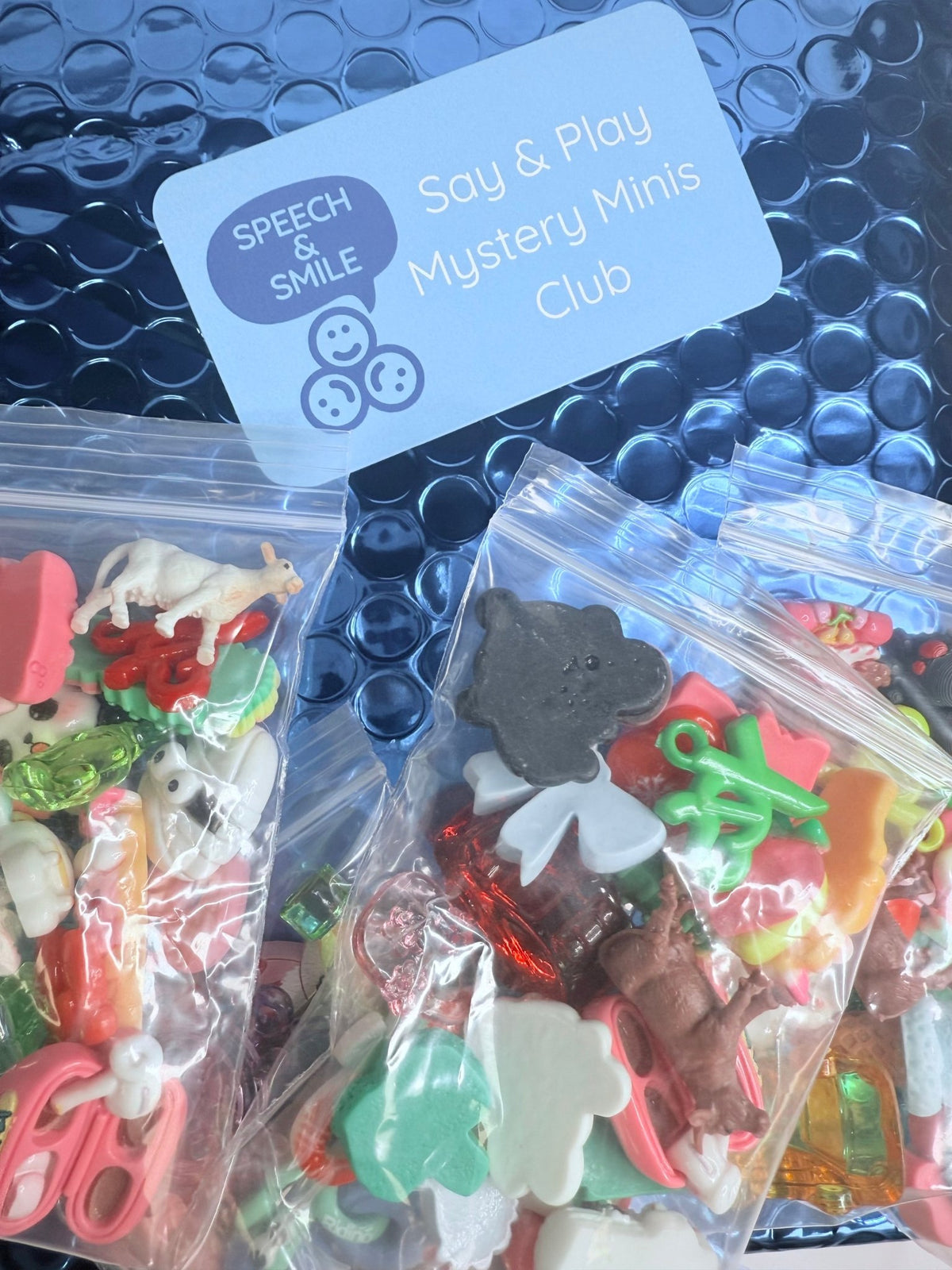 6 MONTH Mini Objects Subscription - Say & Play Mini Objects Mystery Mi ...
