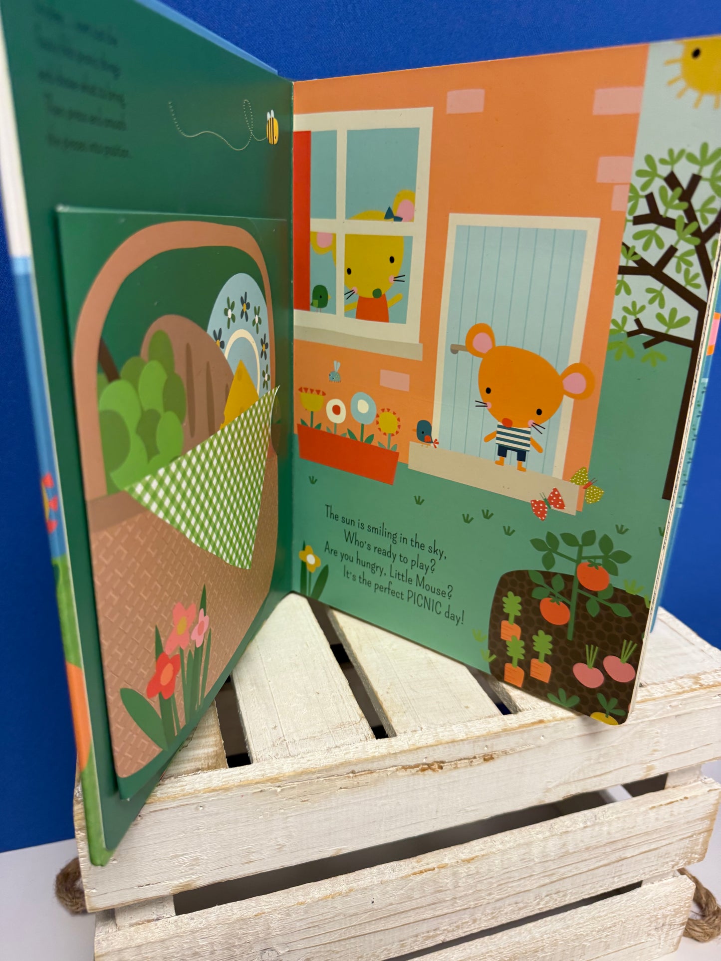 Little Helpers: Picnic Day Sort & Play Board Book
