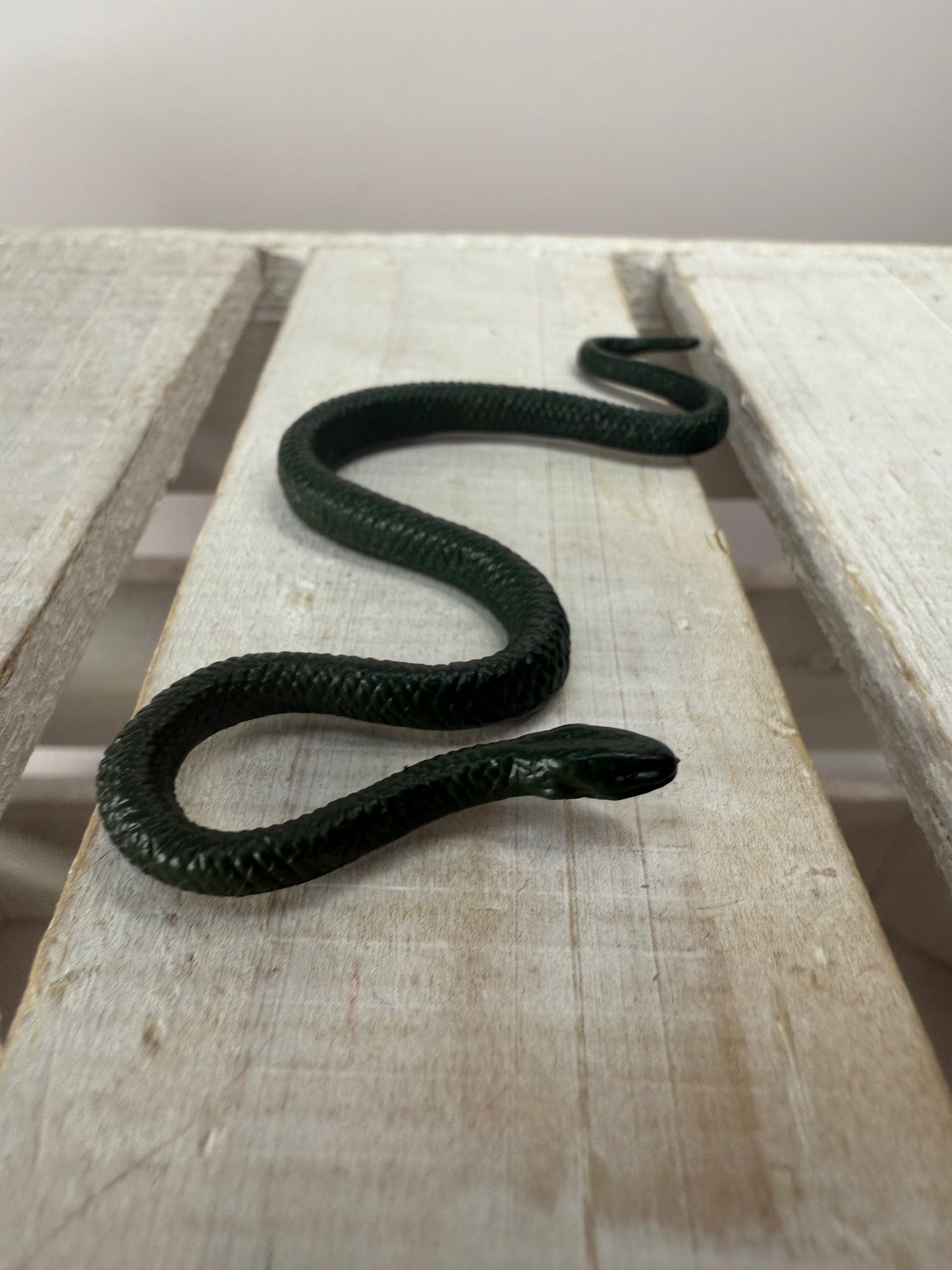 Pick a River Creature Figurines Mini Objects Realistic River Animal Figures Trinkets River Habitat Minis