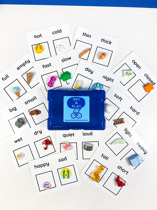 Opposites Task Box with Mini Objects | Preschool Concept Learning Task Box