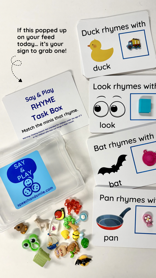 RHYME Task Box with Mini Objects Language Speech Therapy Mini Objects