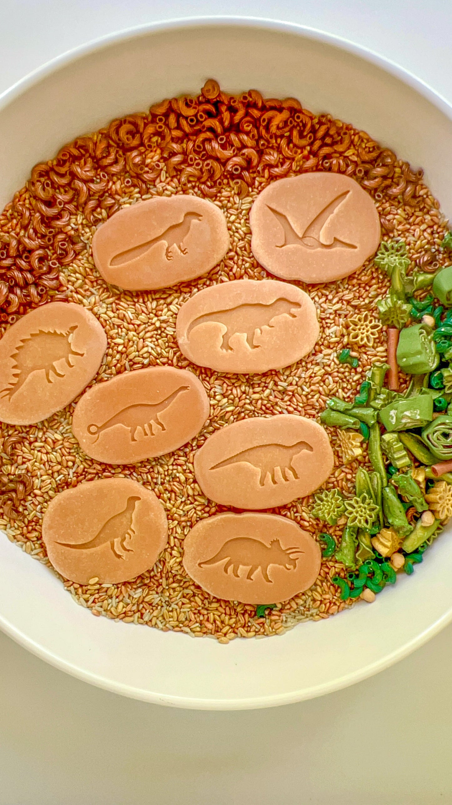 T-Rex Terrain Sensory Bin Filler