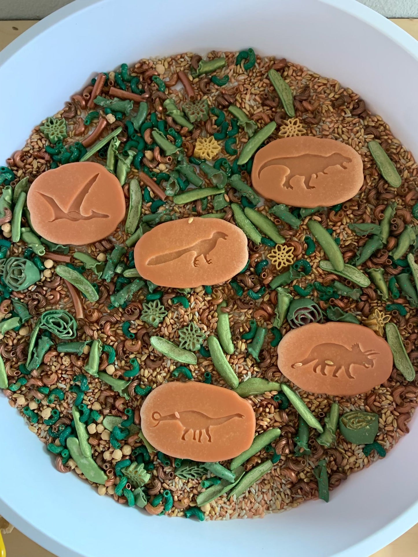 Prehistoric Plants Sensory Bin Filler