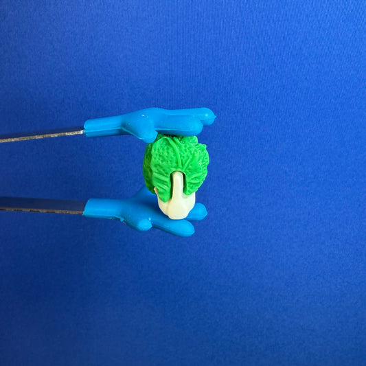 Miniature LETTUCE Trinket - Food Minis - Vegetable Mini Objects Speech Therapy