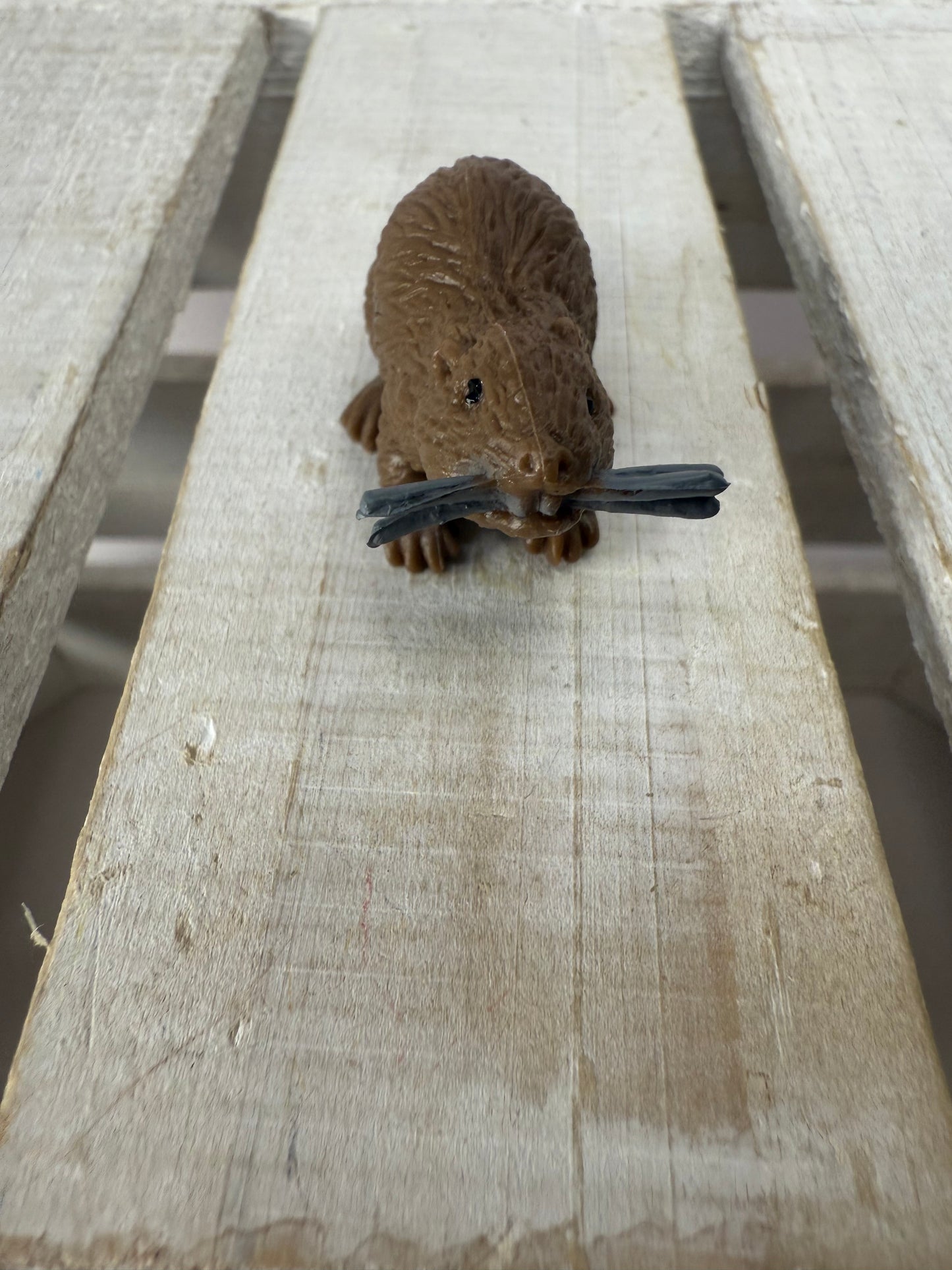 Pick a River Creature Figurines Mini Objects Realistic River Animal Figures Trinkets River Habitat Minis