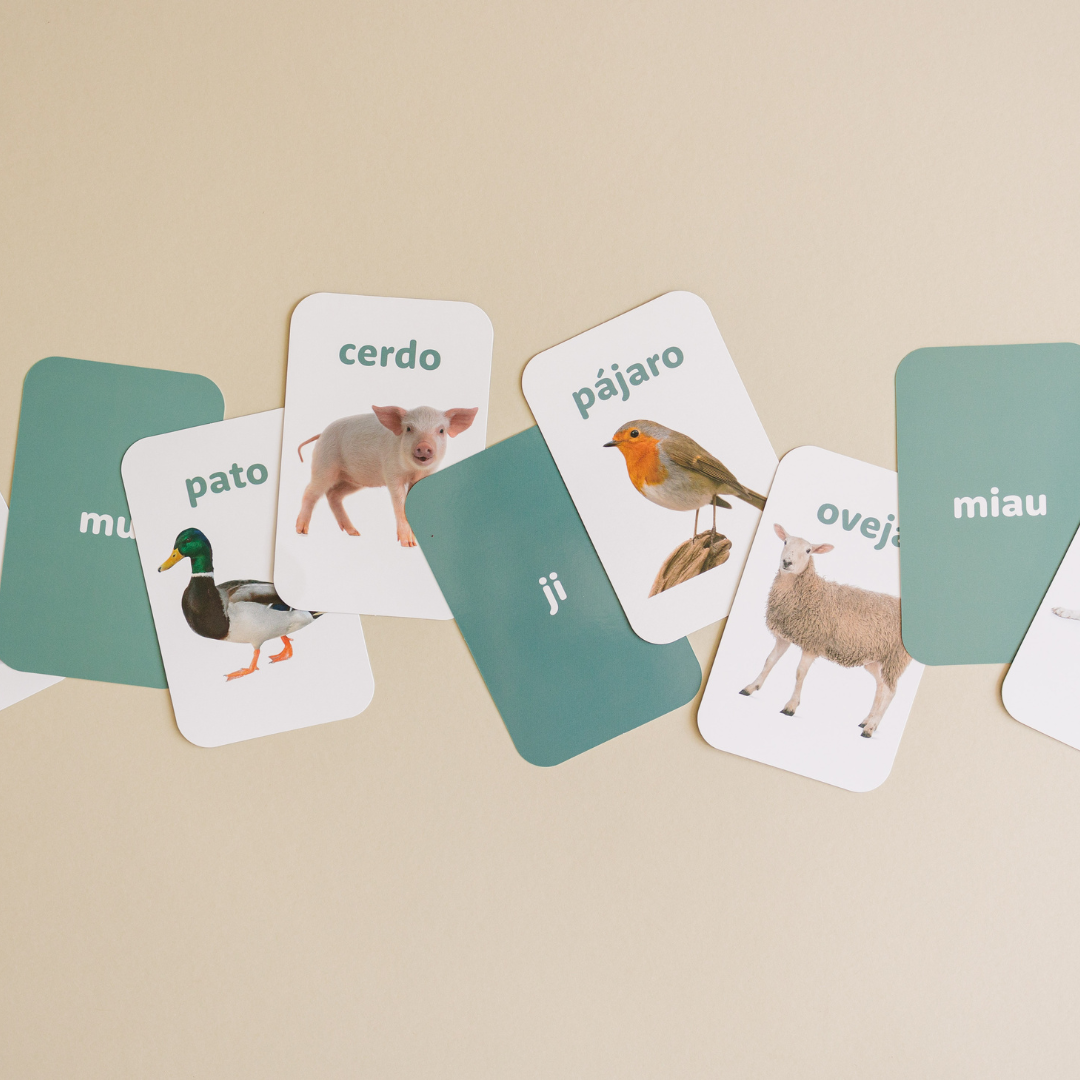 Spanish Flashcards Learn Spanish ESL Activity Speech Therapy Cards