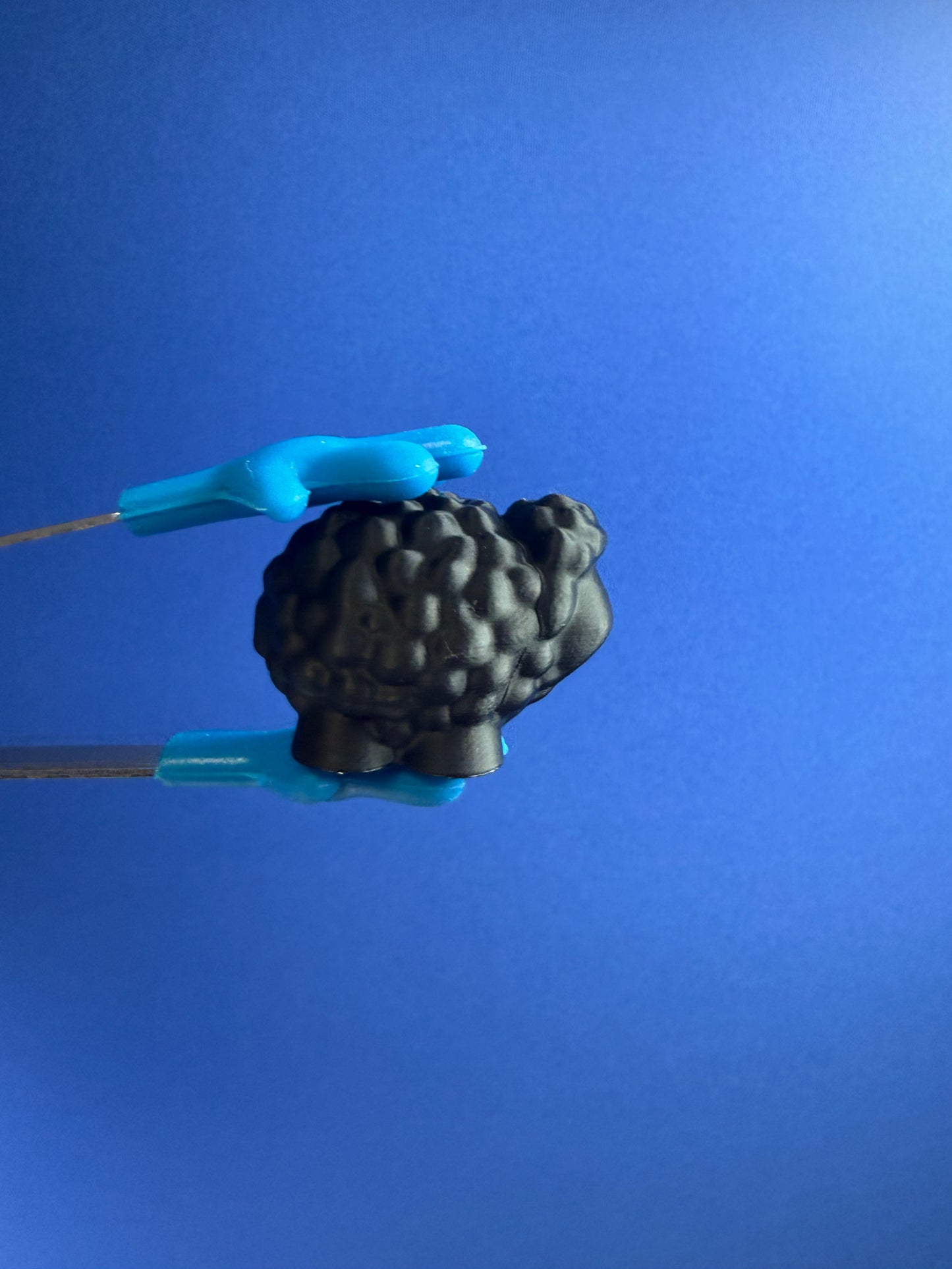 Mini Black Sheep – Animal Objects for Speech Therapy & Language Activities | 3D Printed | Talkets™