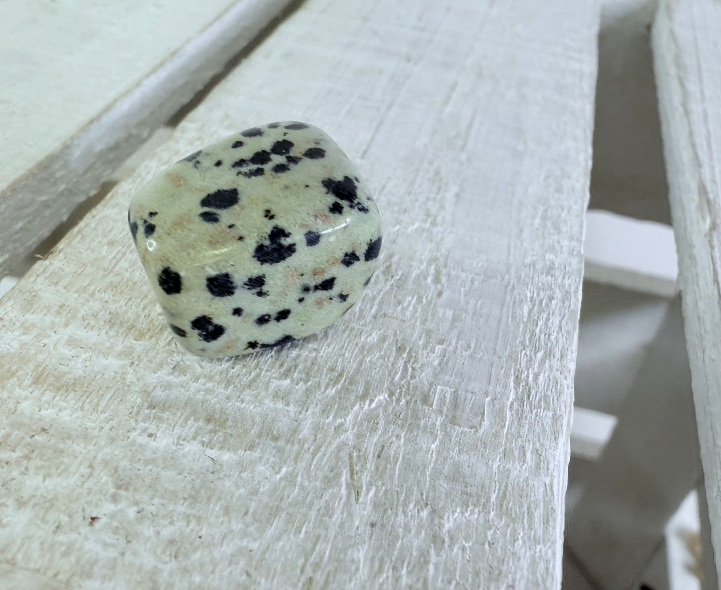 Dalmatian Jasper Stone – Letter J Alphabet Object – Mini Jasper Gemstone – Polished Tumbled Jasper – Speech Therapy Mini Object