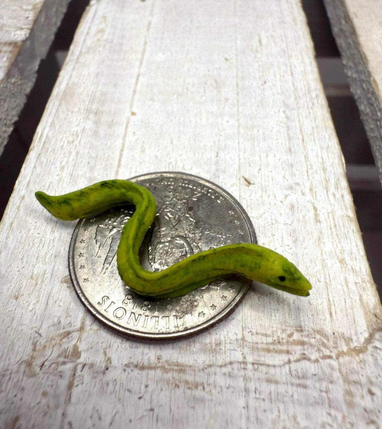 Miniature MORAY EEL Figurine Say and Play Mini Objects for Speech Therapy OCEAN Minis Tiny Animal for Dollhouse, Fairy Garden, Terrarium