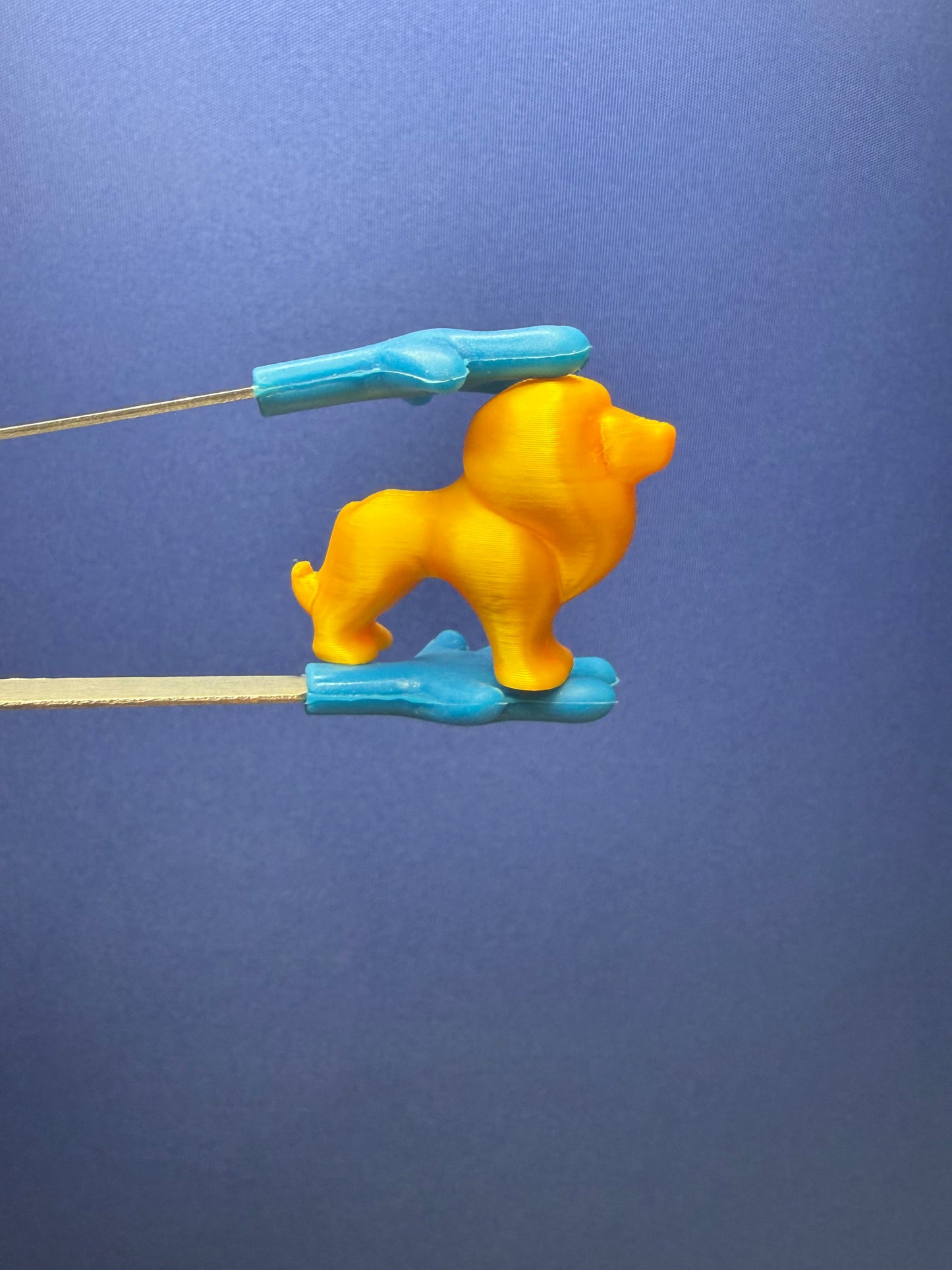 Mini Golden Lion – Mini Object for Speech Therapy & Language Activities | 3D Printed | Talkets™