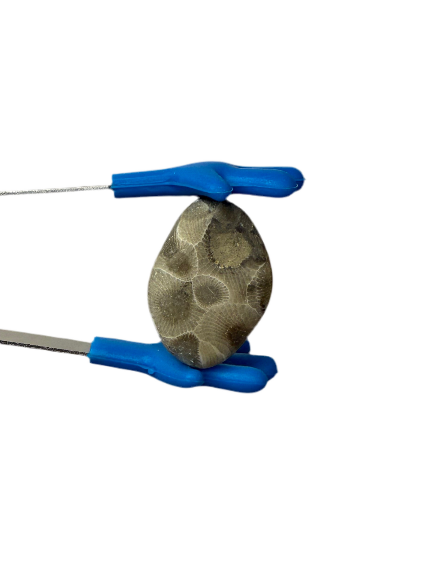 Petoskey Stone (Hexagonaria percarinata Fossil) – Natural Unpolished Coral Stone 1–1.5”