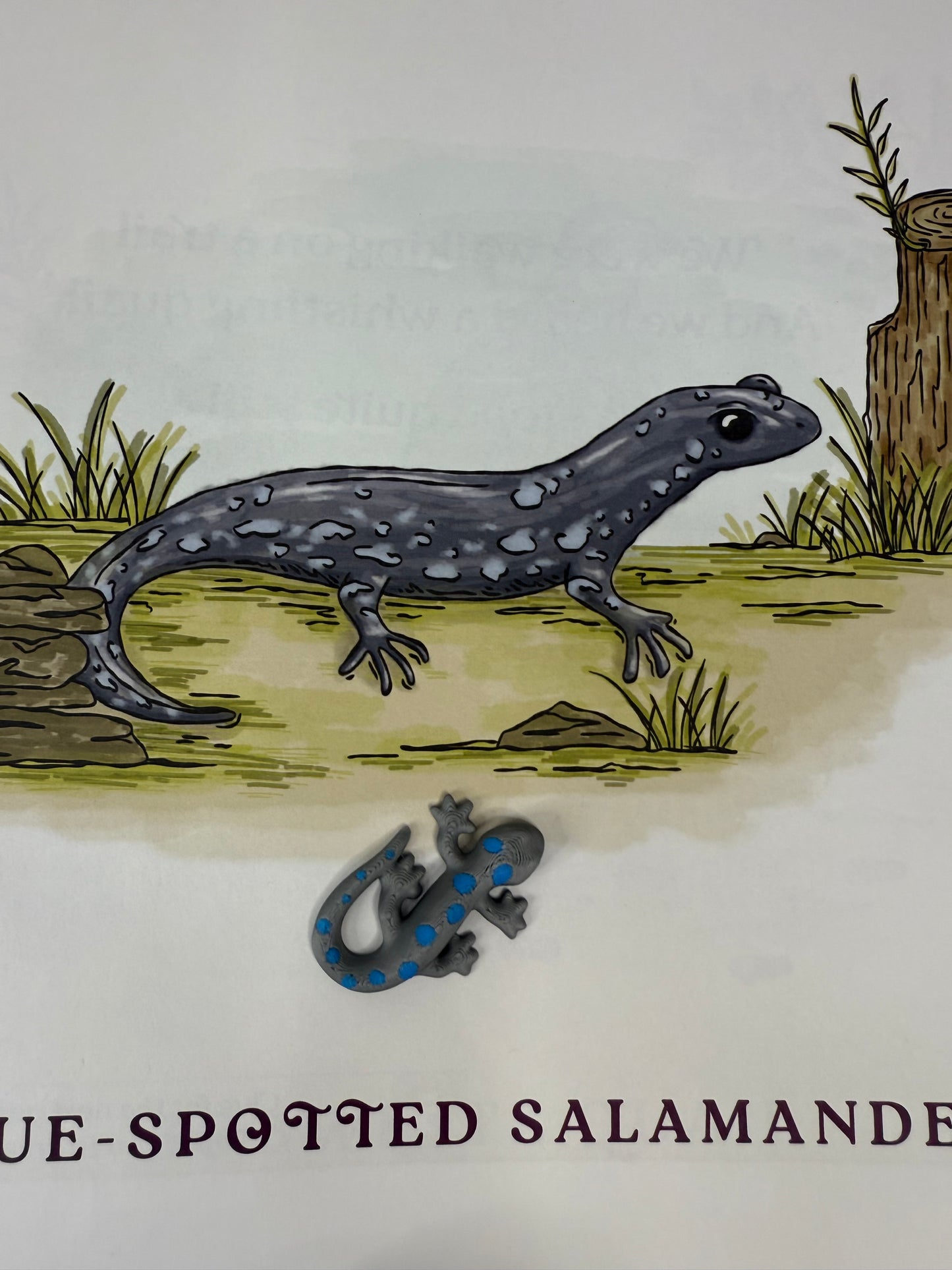 Say & Play Mini Objects Story Kit WITH BOOK Walking on a Trail Story Kit Nature and Animal Mini Objects Kinetic Sand Sensory Play Kit