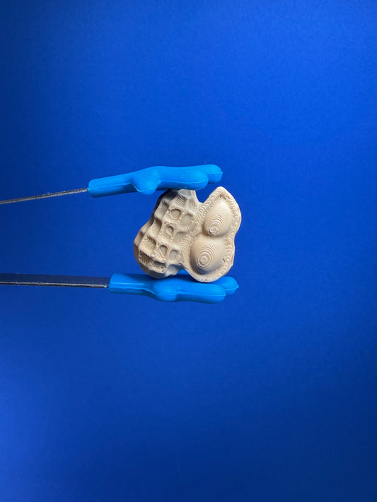 Mini Peanut Object – Food Mini Objects for Speech Therapy & Language Activities | 3D Printed | Talkets™