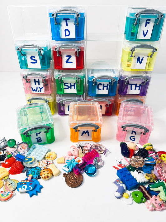 Ensemble de mini objets d'orthophonie TOUS LES SONS INCLUS Bibelots d'articulation dans l'organisateur Activités d'orthophonie Objets miniatures pour slp