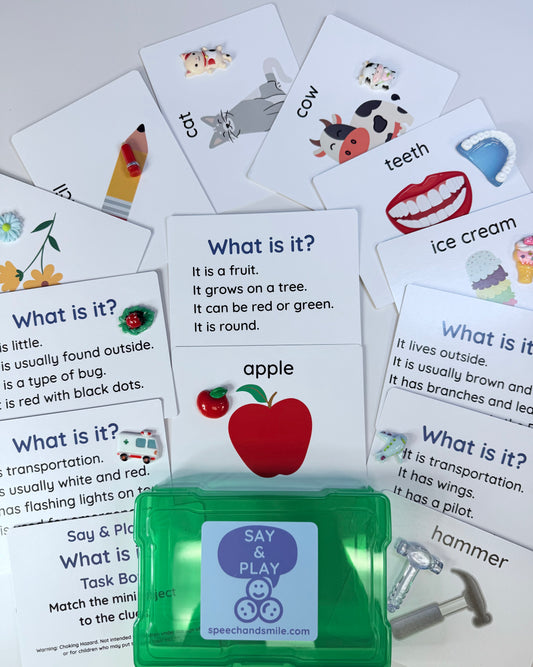 Question Task Box for Speech Therapy - What Is It Game with Mini Objects