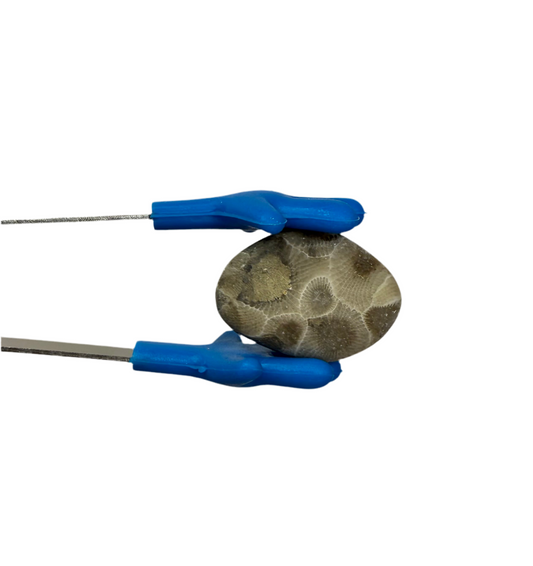 Petoskey Stone (Hexagonaria percarinata Fossil) – Natural Unpolished Coral Stone 1–1.5”