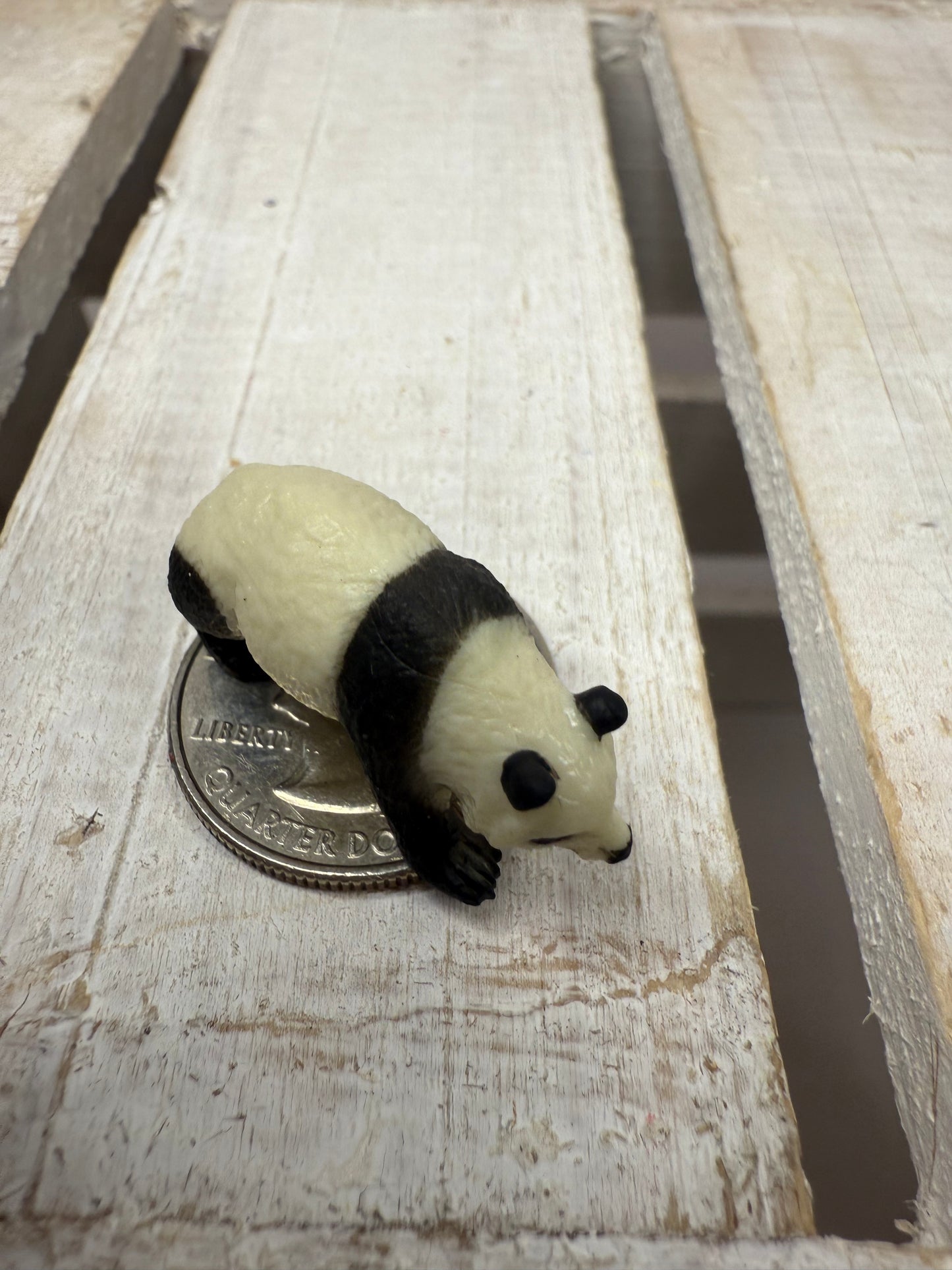 Miniature PANDA Figurine Say and Play Mini Objects for Speech Therapy Zoo Minis Animal for Dollhouse, Fairy Garden, Terrarium, Diorama,