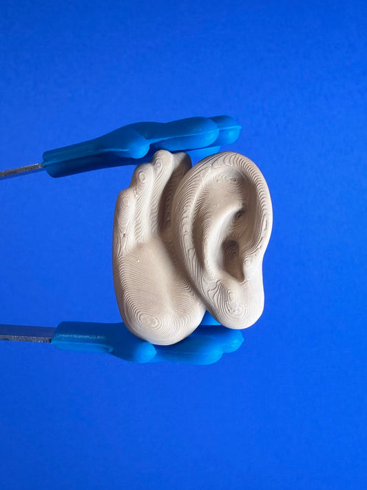 Mini Senses - Hand Ear  Mini Object for Speech Therapy - Listen Cue - Language Activities | 3D Printed | Talkets™