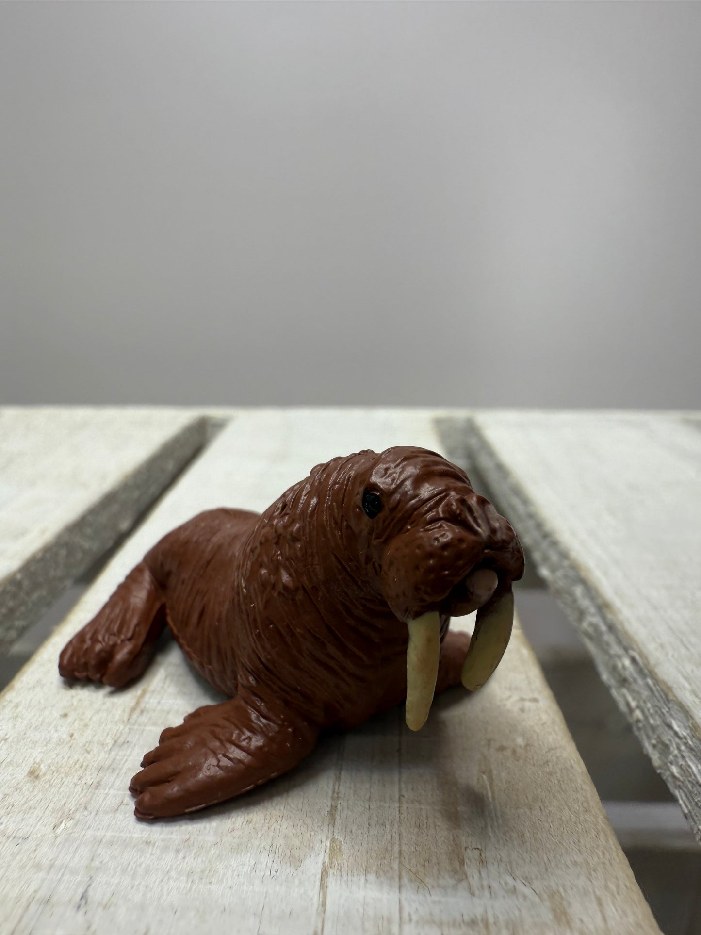 Pick an ARCTIC Animal Mini Objects Miniature Arctic Figurines Realistic Minis for Speech Therapy Alphabet Sound Box